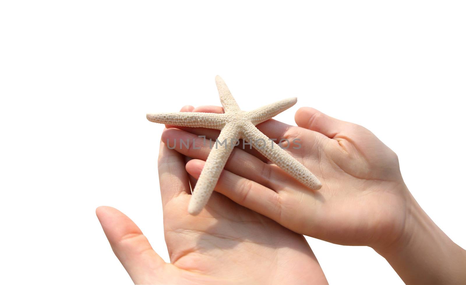 hand holding starfish by rufous