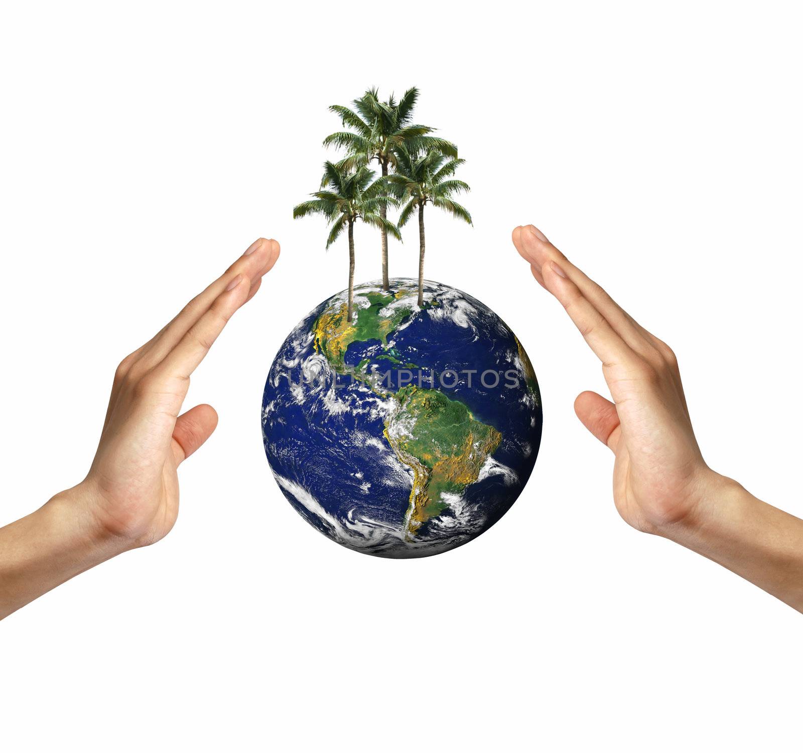 Eco concept : Earth in hands isolated on white  by rufous