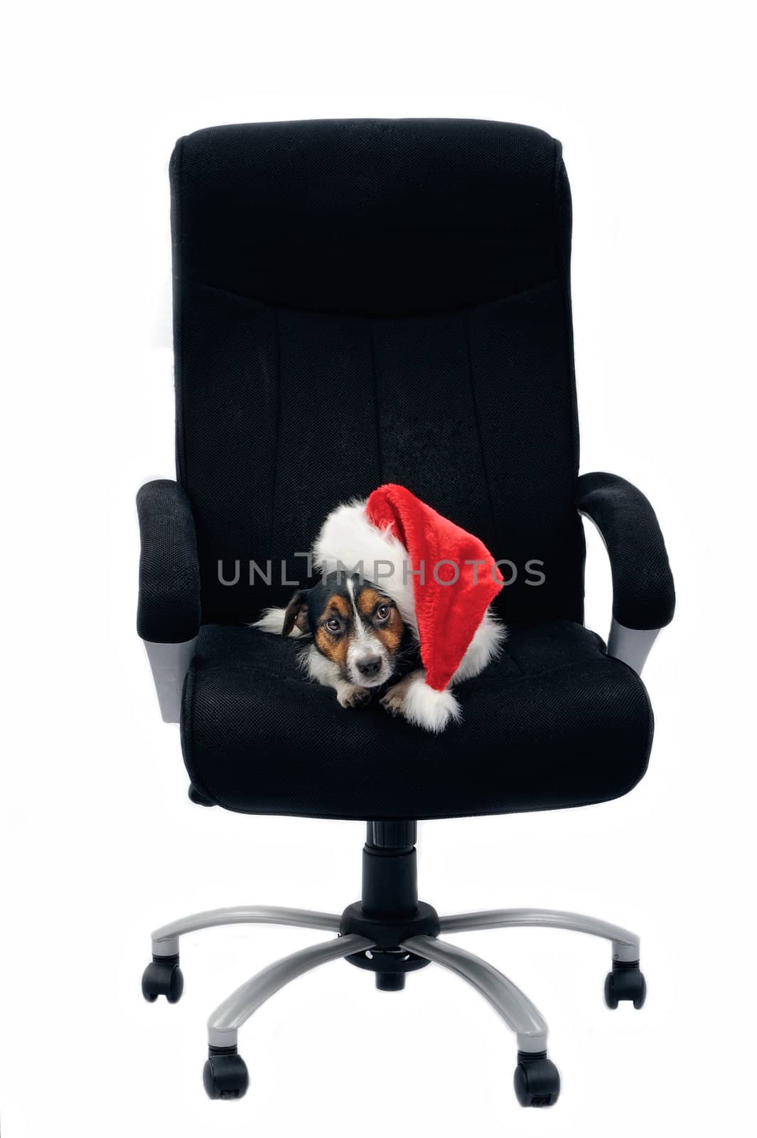 In boss chair by styf22