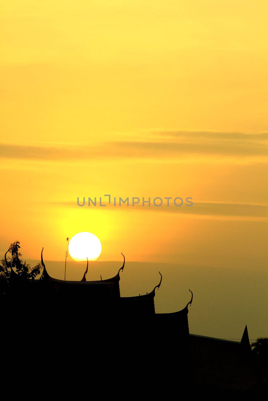 Black silhouette on sunset background