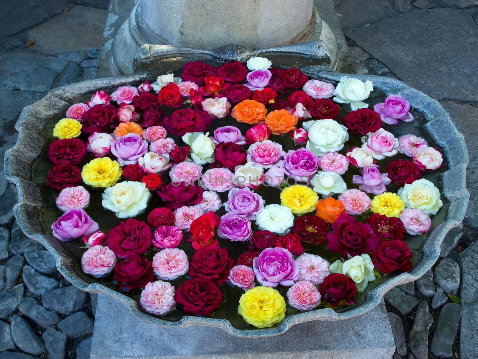 Stone bowl full of floating blooming roses spa treatment decoration