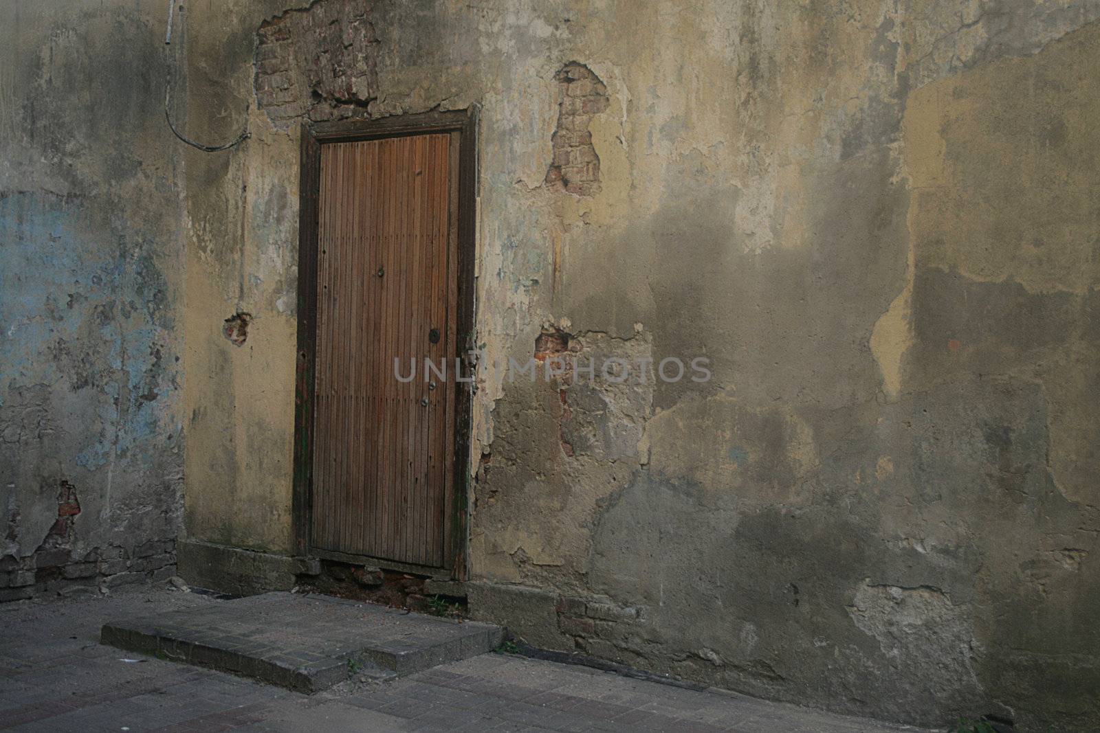 wooden door in the stone wall