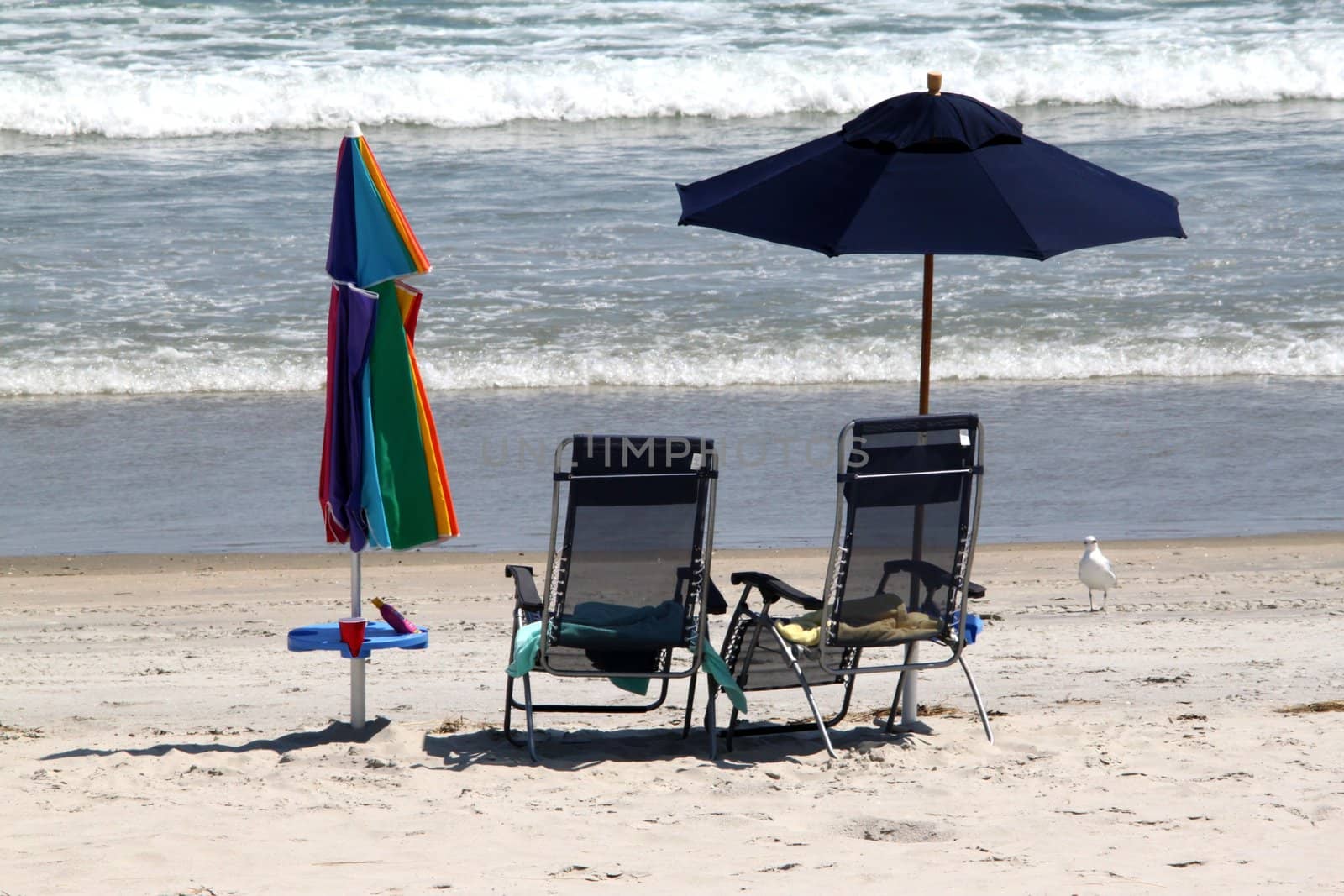 Empty beach chairs on the beach with parasols