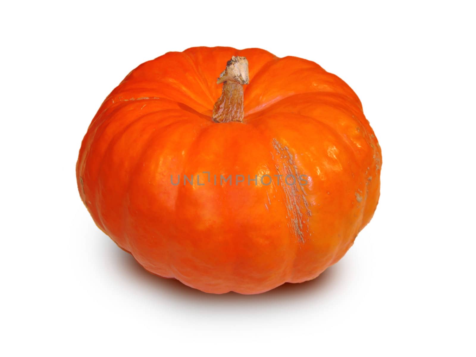 foto of orange bright color pumpkin