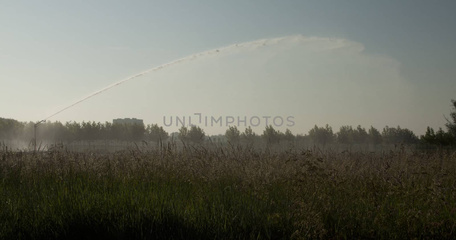 spraying a dry land