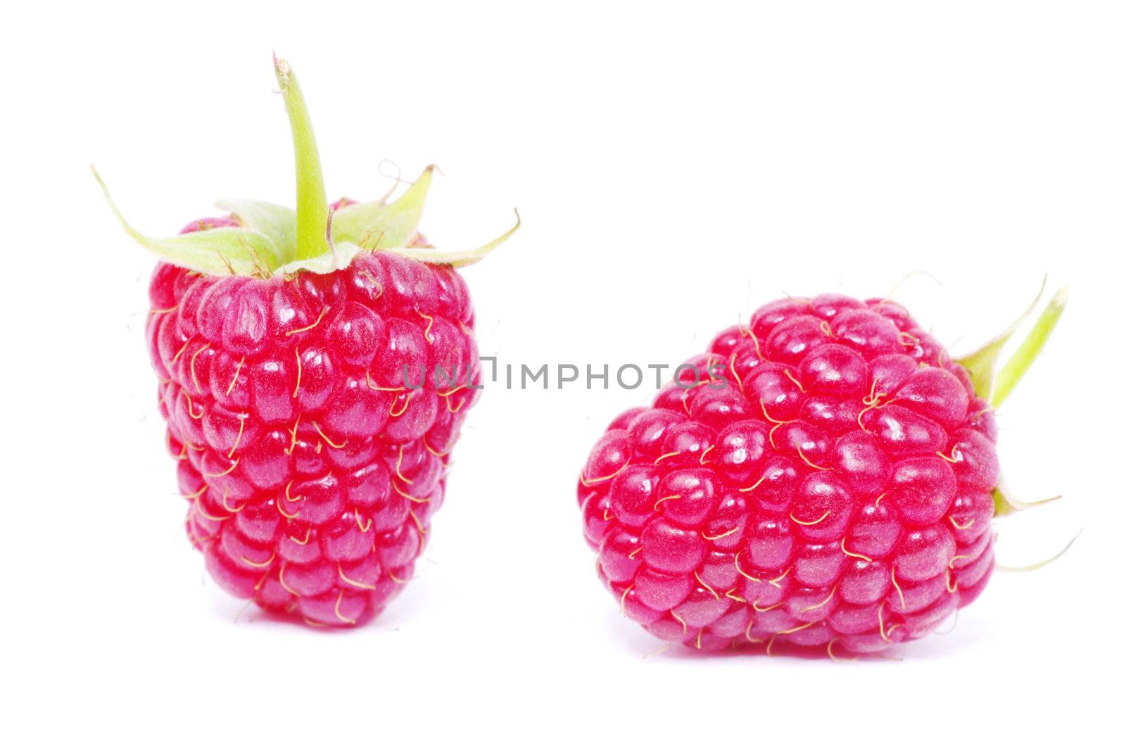 fresh raspberry closeup isolated on white background