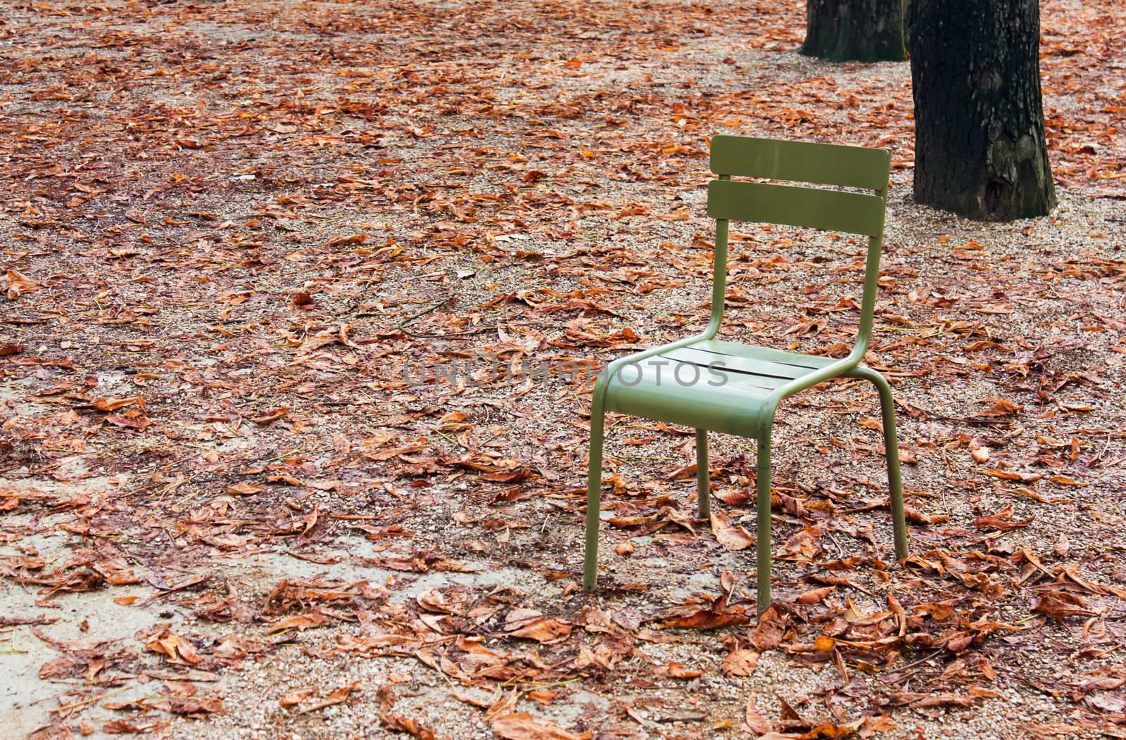 A chair for public use in the Luxembourg Gardens in Paris