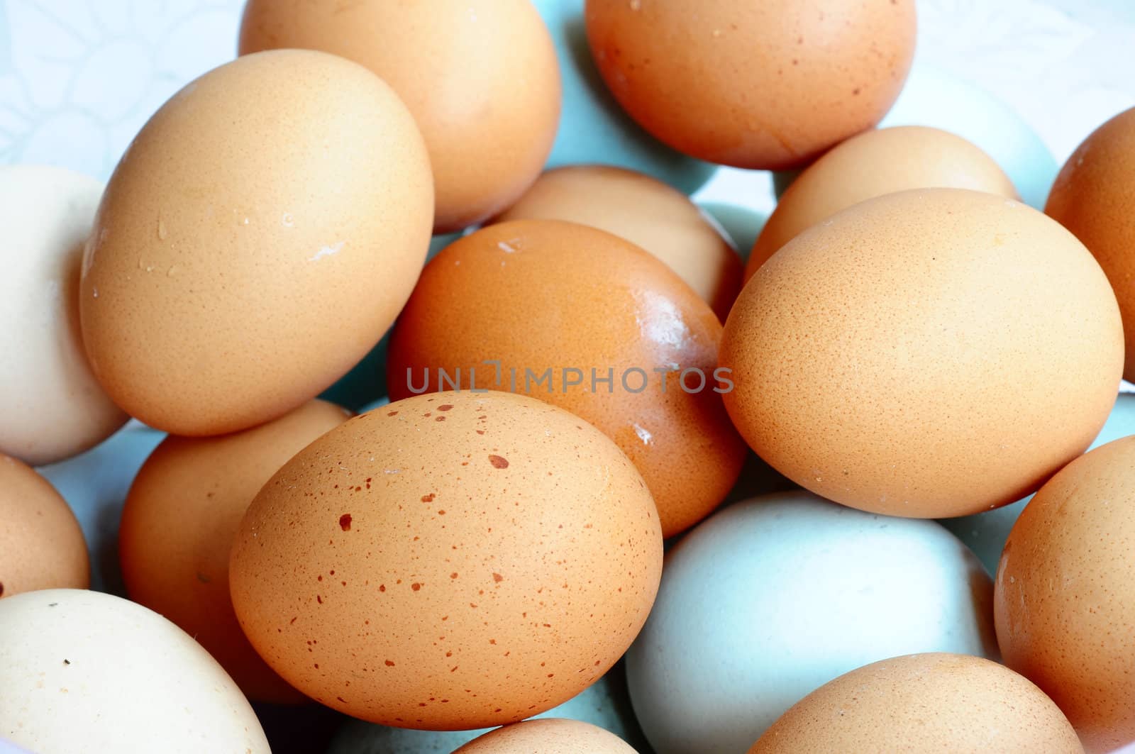Dozens of fresh eggs in a pile 