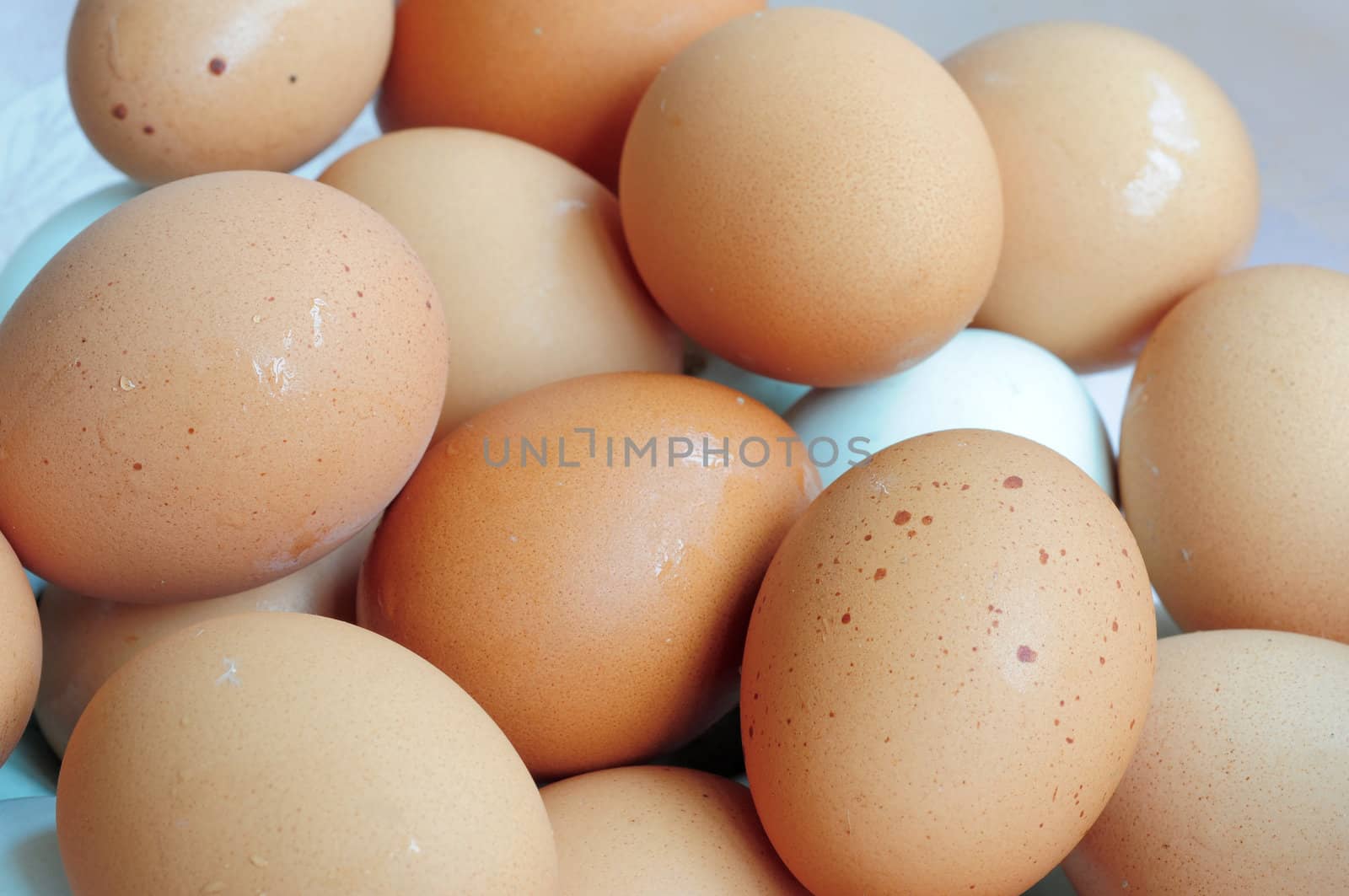 Dozens of fresh eggs in a pile 