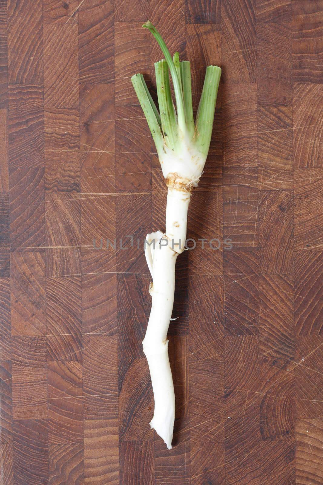 A root of horse radish