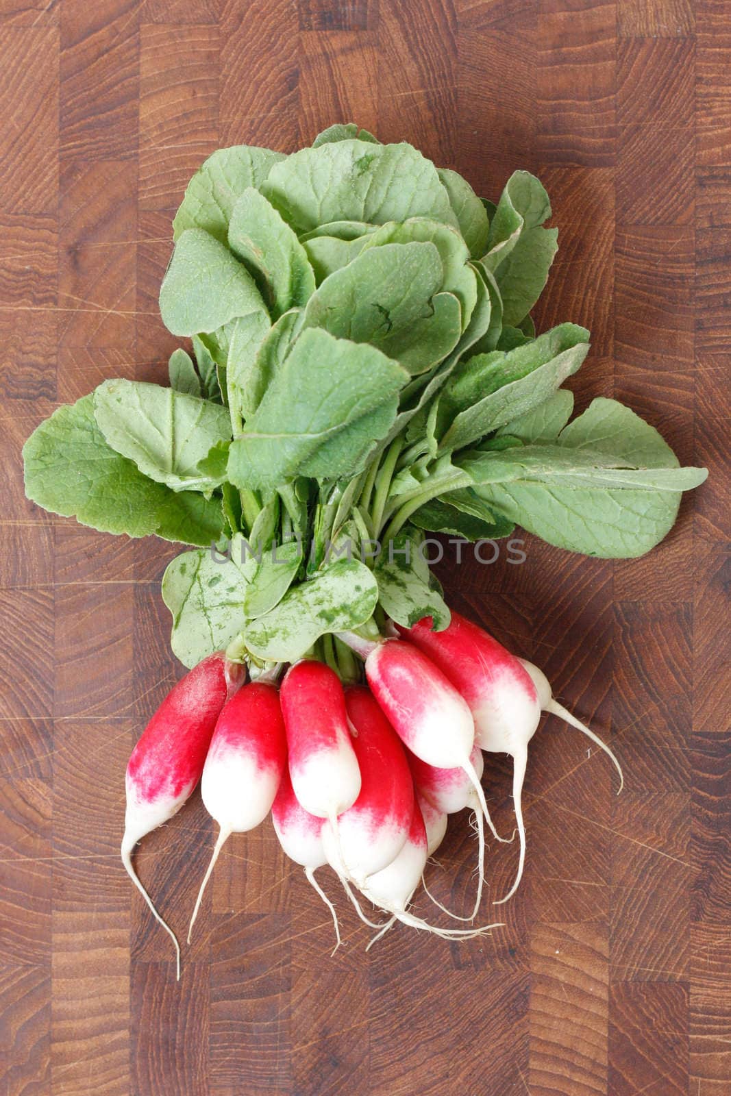 A bunch of radishes on a wooden backgroung