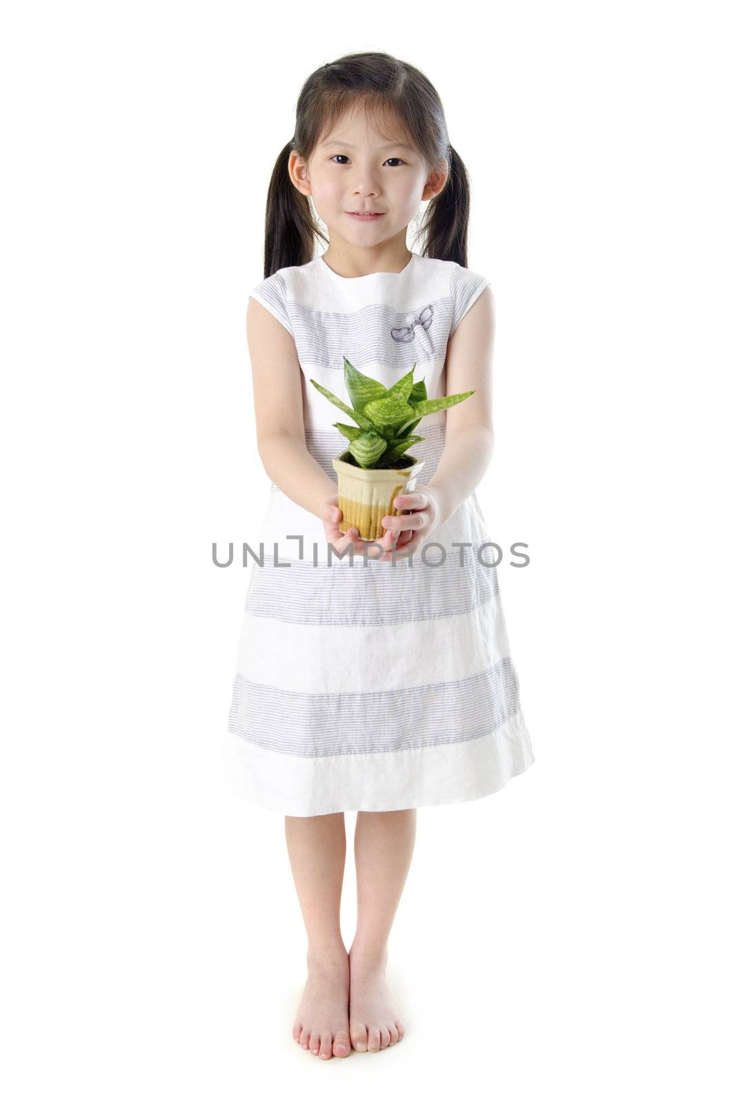 Concept of little girl holding a plant on white background