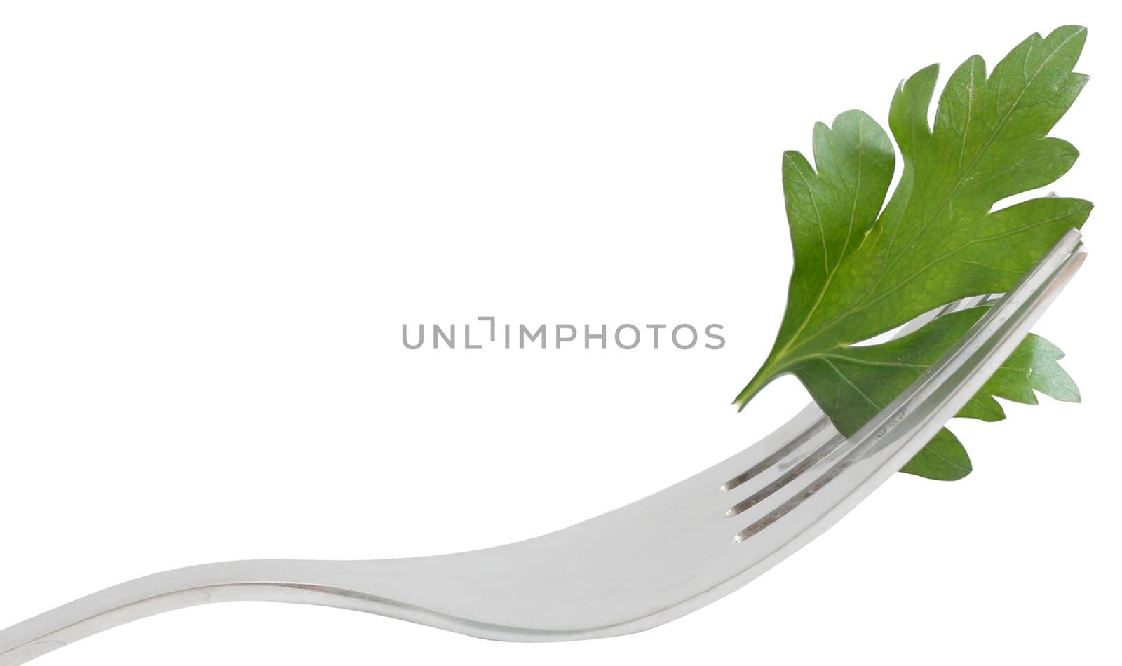 Parsley isolated on a white bg