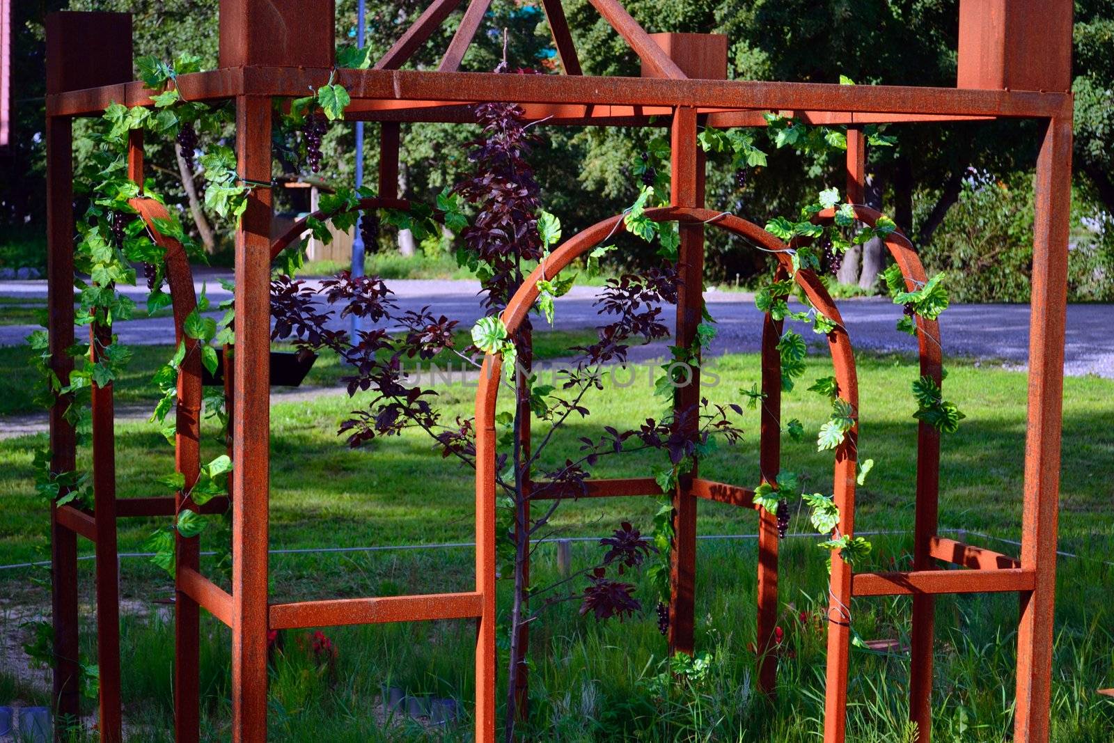 green garden with wrought iron arbor