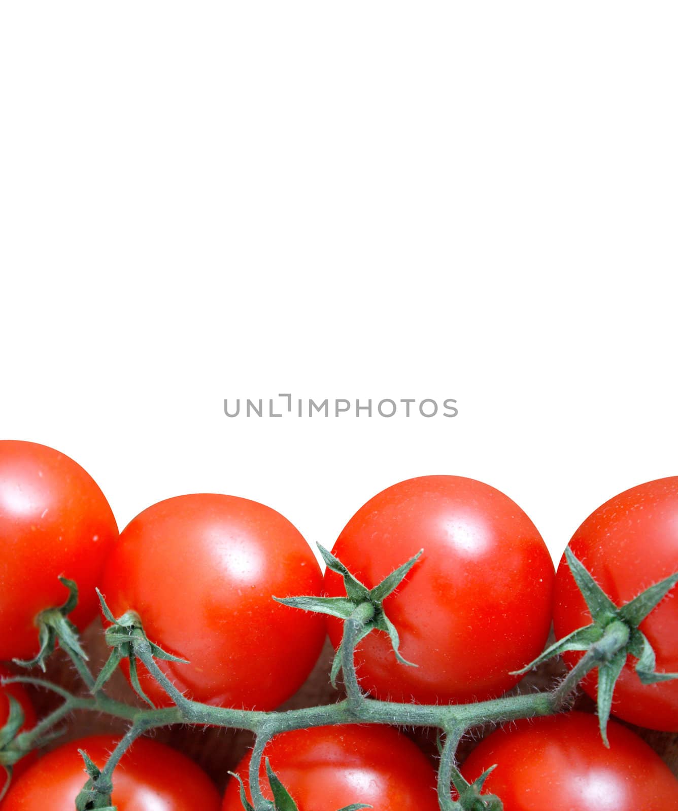 Tomatoes by leeser
