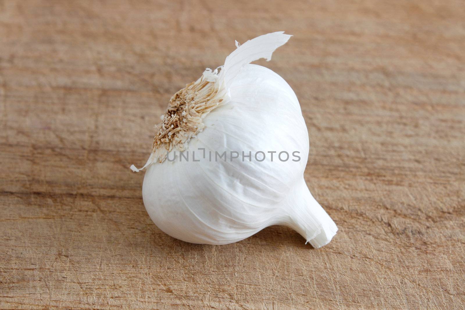 Garlic by leeser