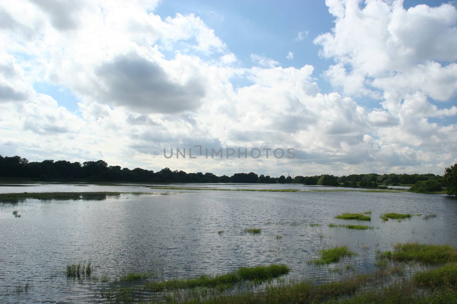 Flooded river floodplain of the Elbe in Saxony-Anhalt / Germany