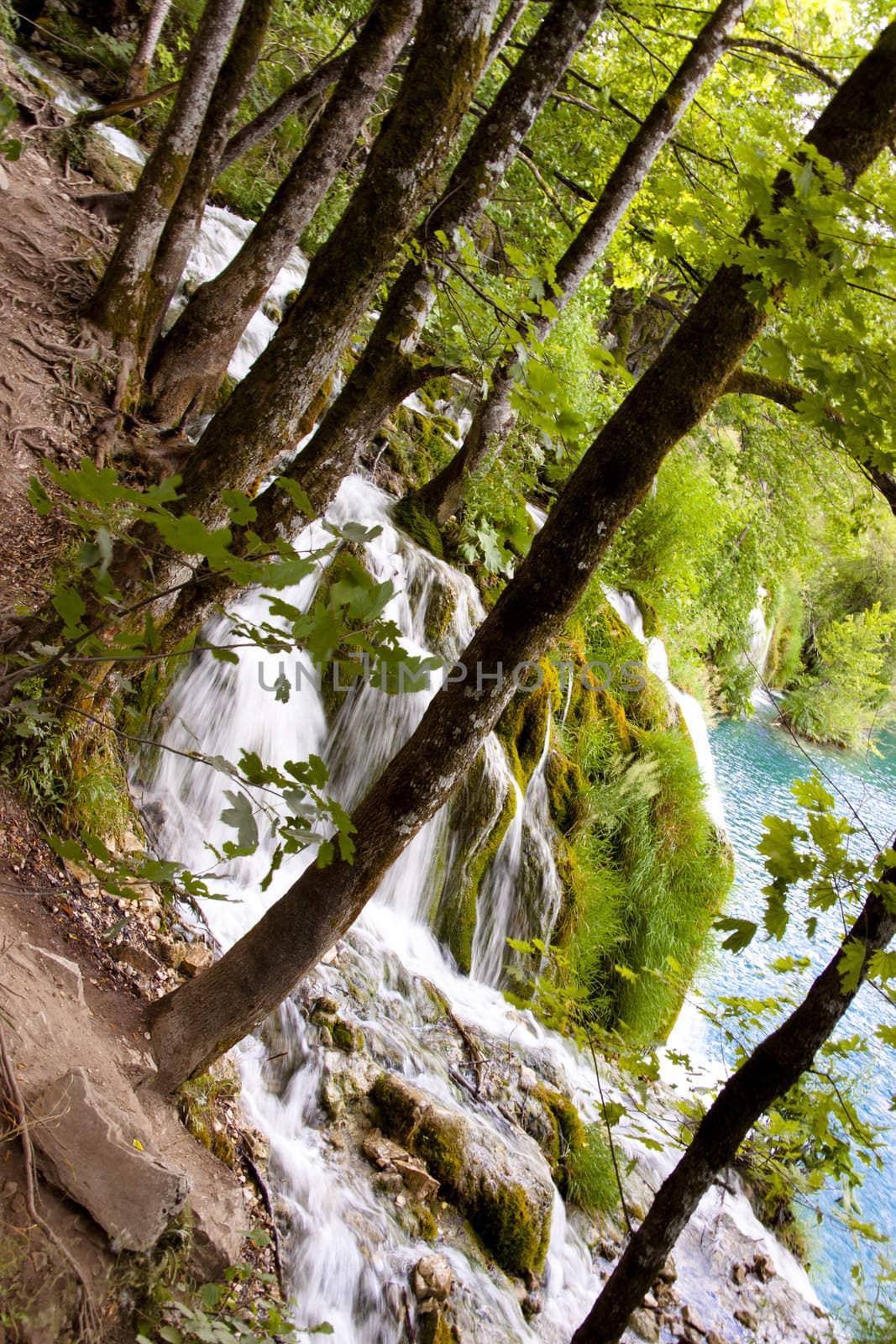 Plitvicka Lake, National Park, Croatia. Green beauty view, clean water.
