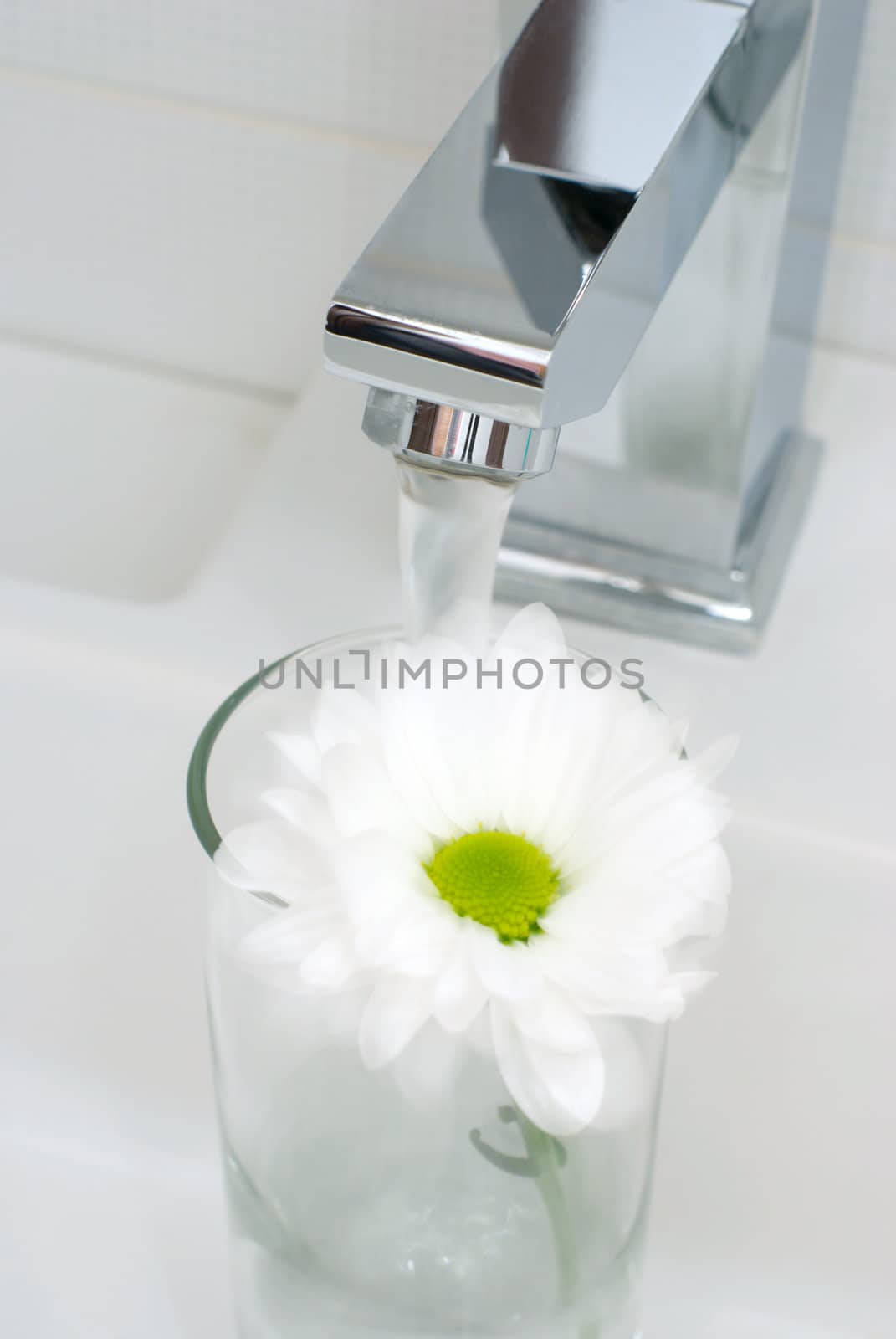 Closeup of modern bathroom tap with fluttering flower