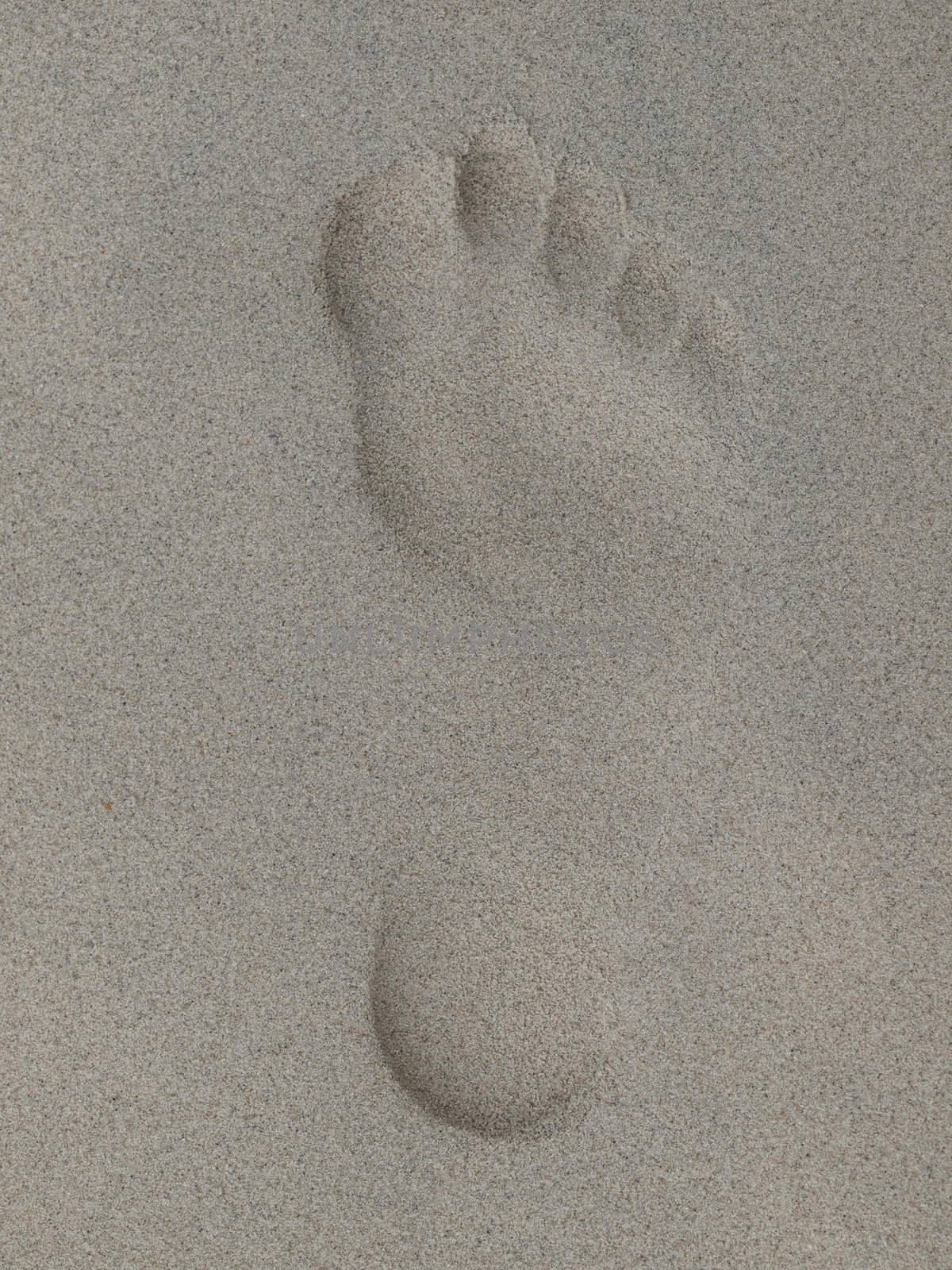 Closeup of the fooprint on a sandy beach