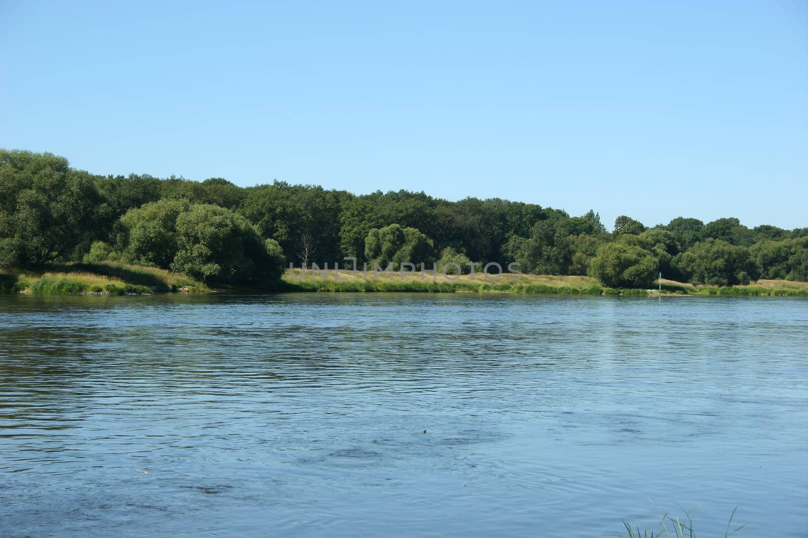 Elbe river in Saxony-Anhalt / Germany, in summer