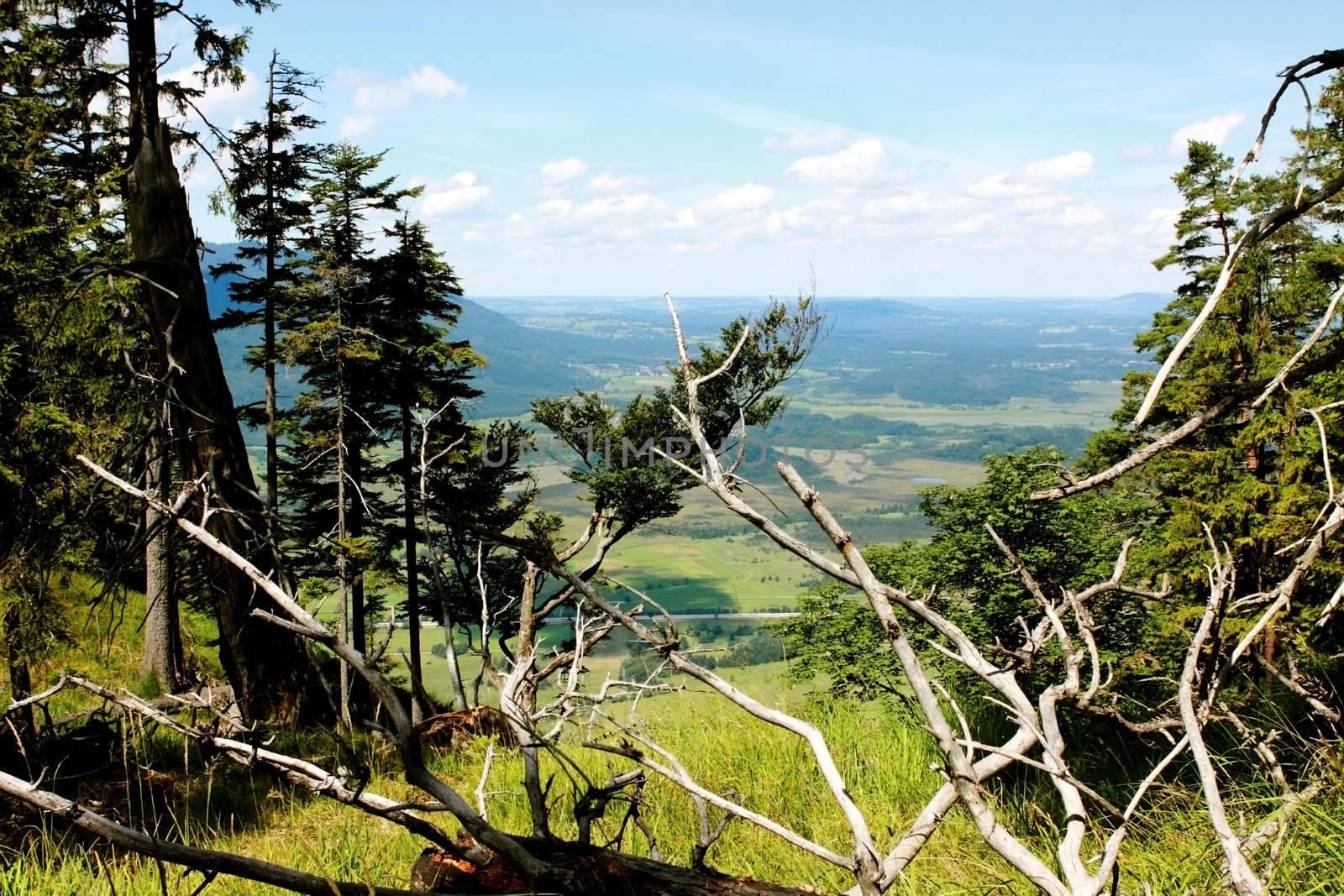 landscape view from the mountain top