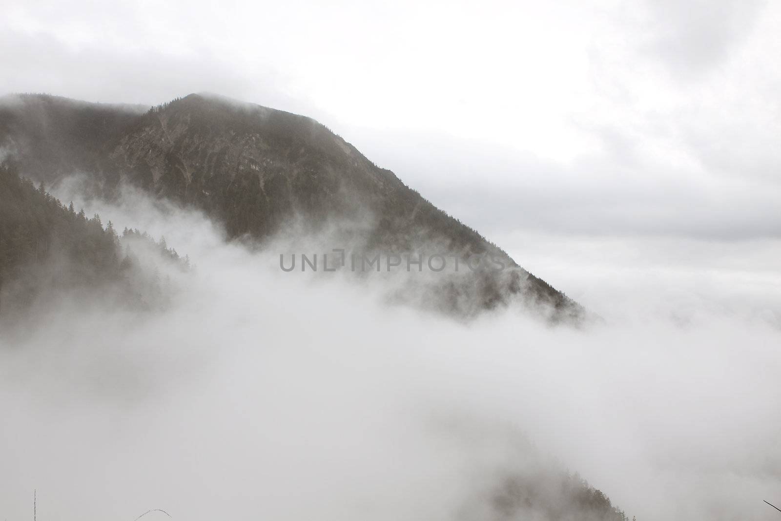 view from mountain top with deep thick fog