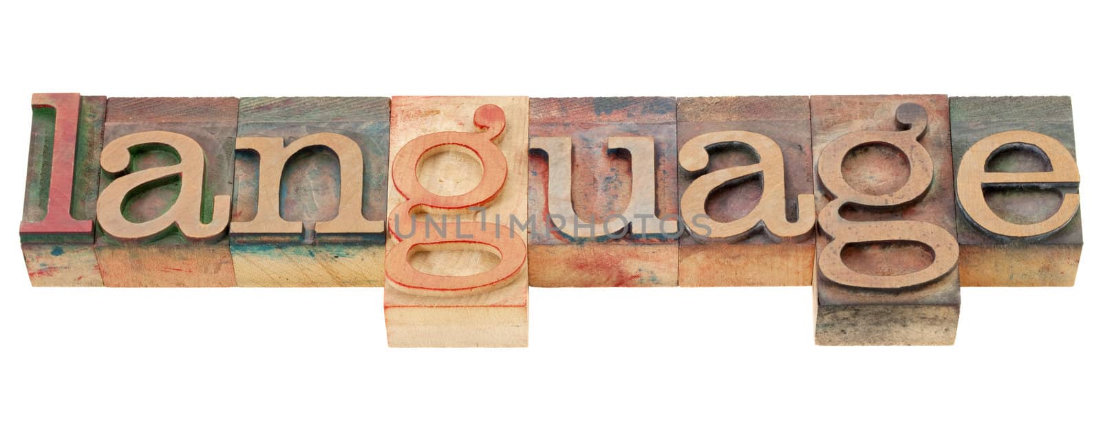 language - isolated word in vintage wood letterpress printing blocks