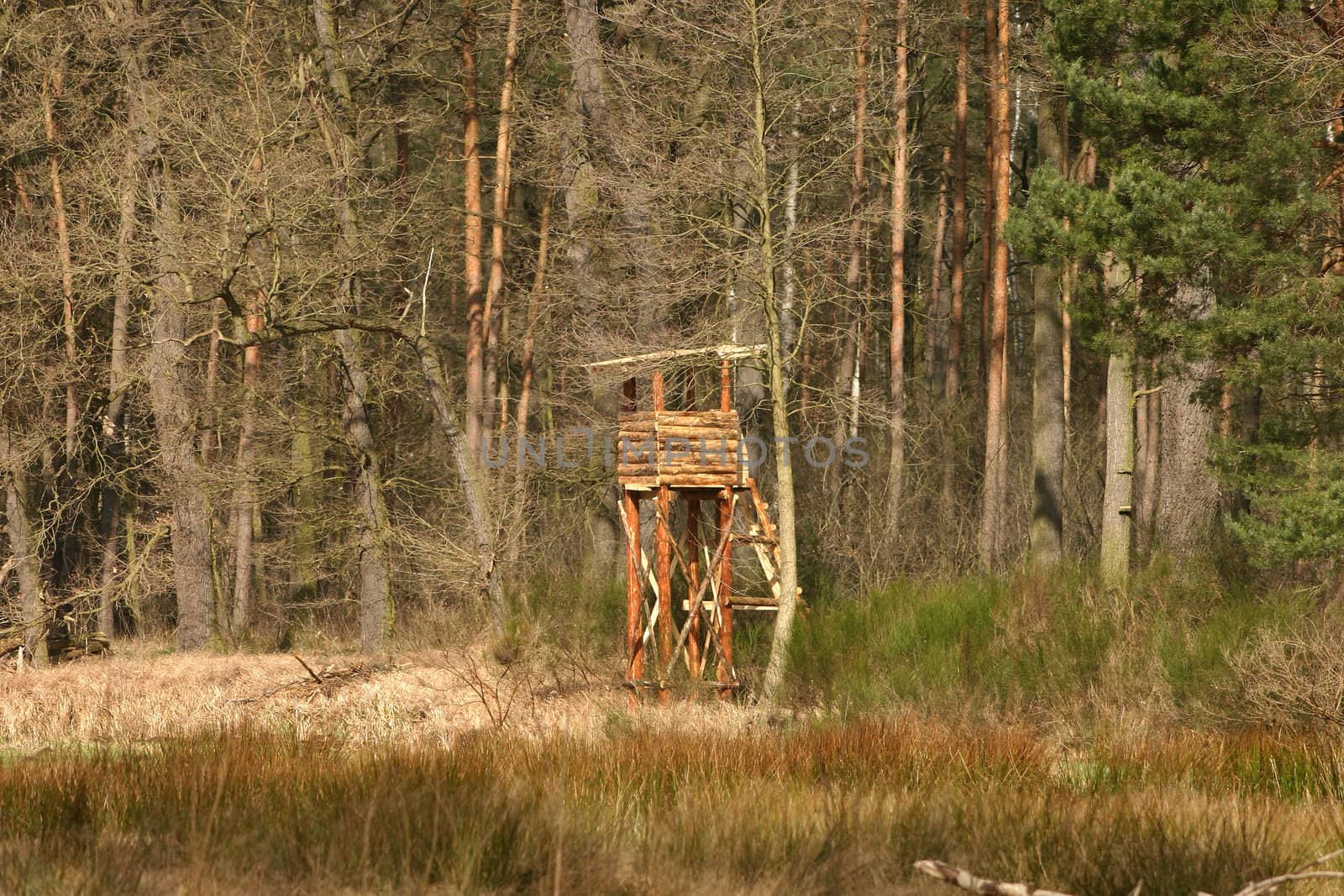 Hunt raised hide by tdietrich