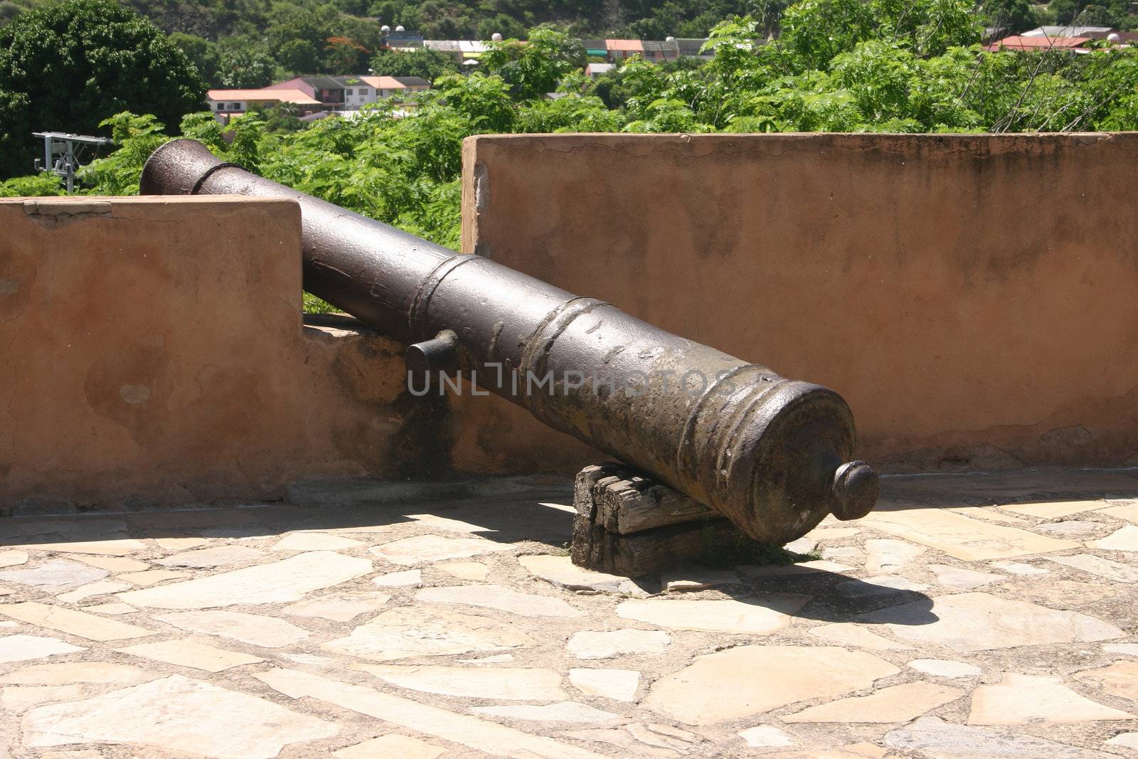 Historical Cannon by tdietrich