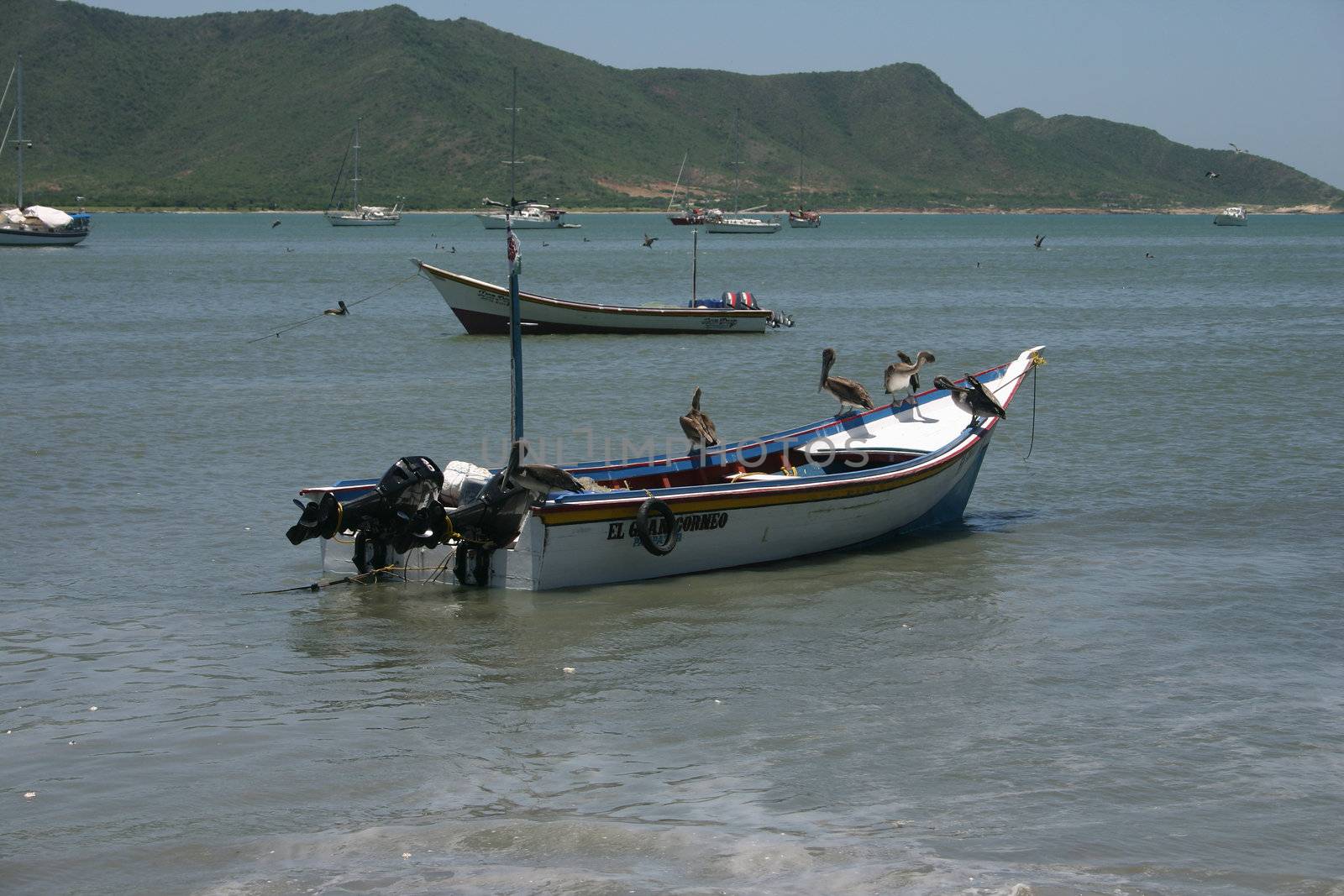 Boats in the harbor of Juan Griego on Isla de Margarita in Venezuela