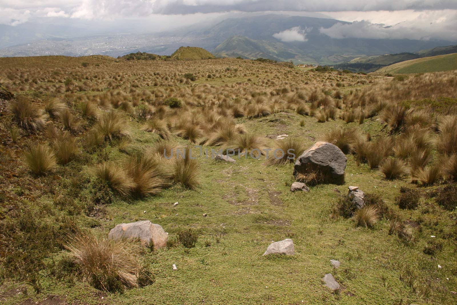 Slopes of the Pichincha in Ecuador in the Andes above the capital, Quito