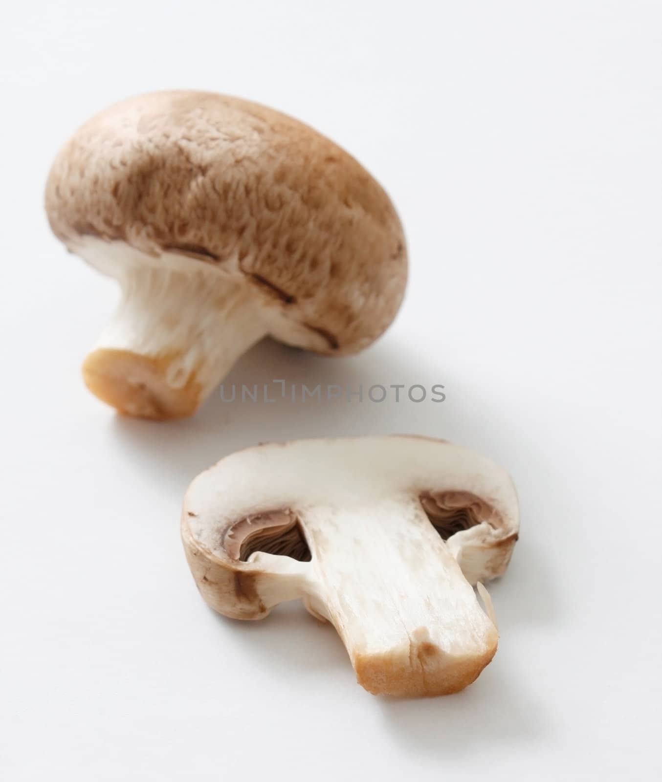 Brown mushrooms by leeser