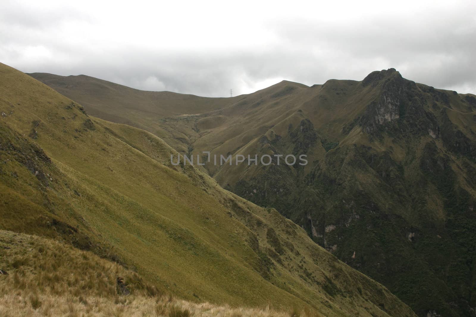Slopes of the Pichincha in Ecuador in the Andes above the capital, Quito