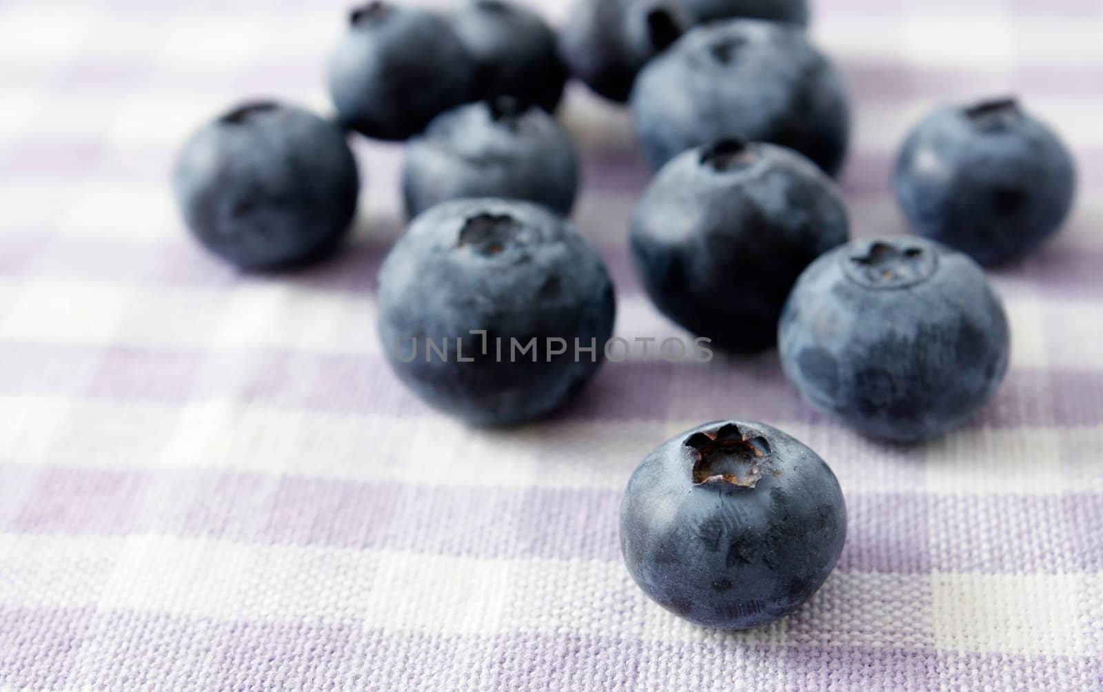 Blueberries photographed in a studio