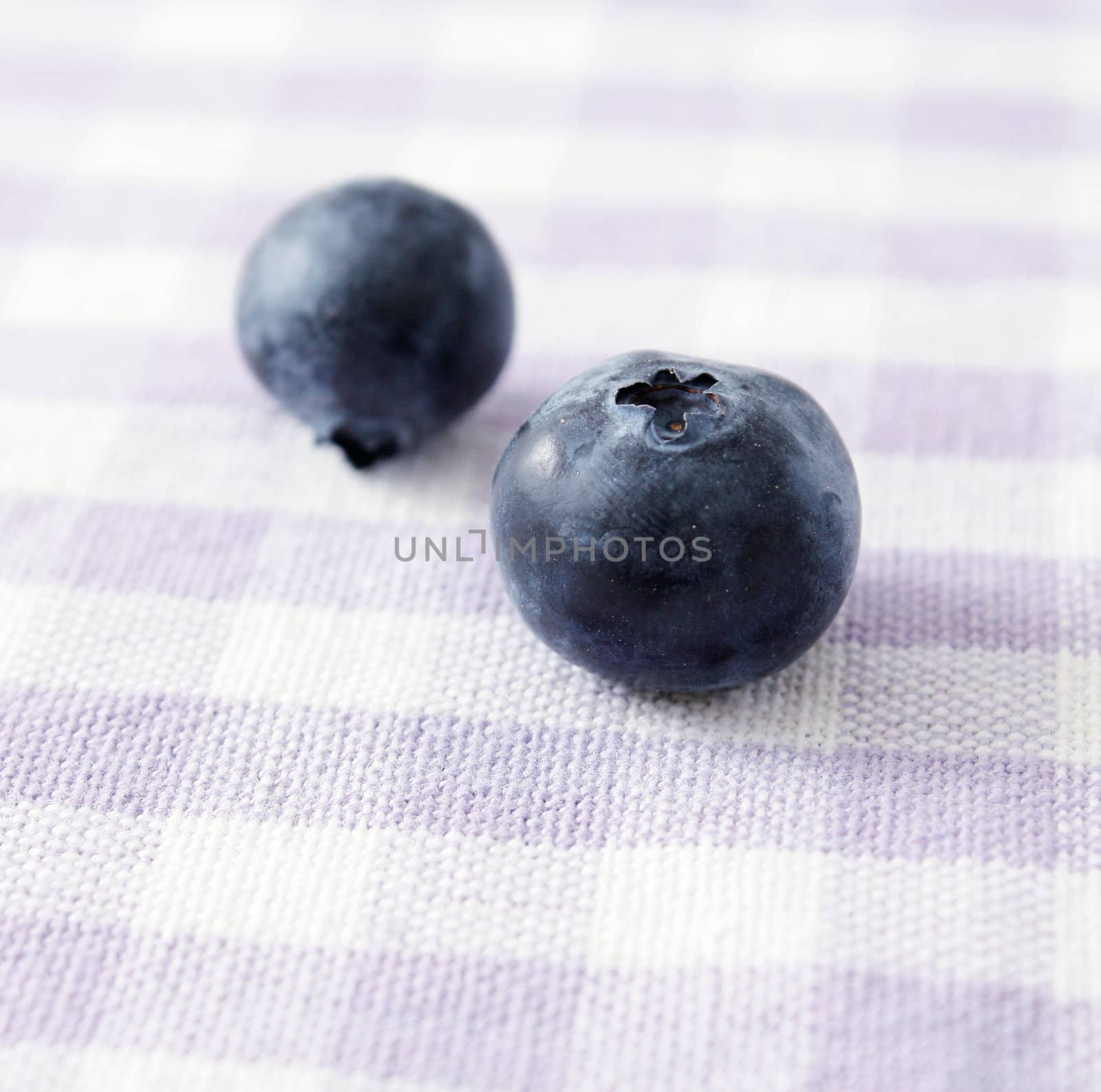 Blueberries photographed in a studio