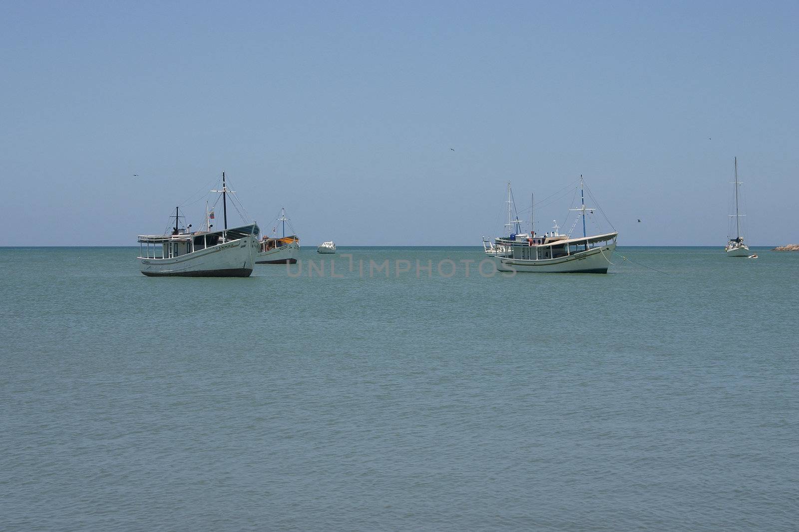 Boats off the port of Juan Griego on Isla de Margarita, Venezuela