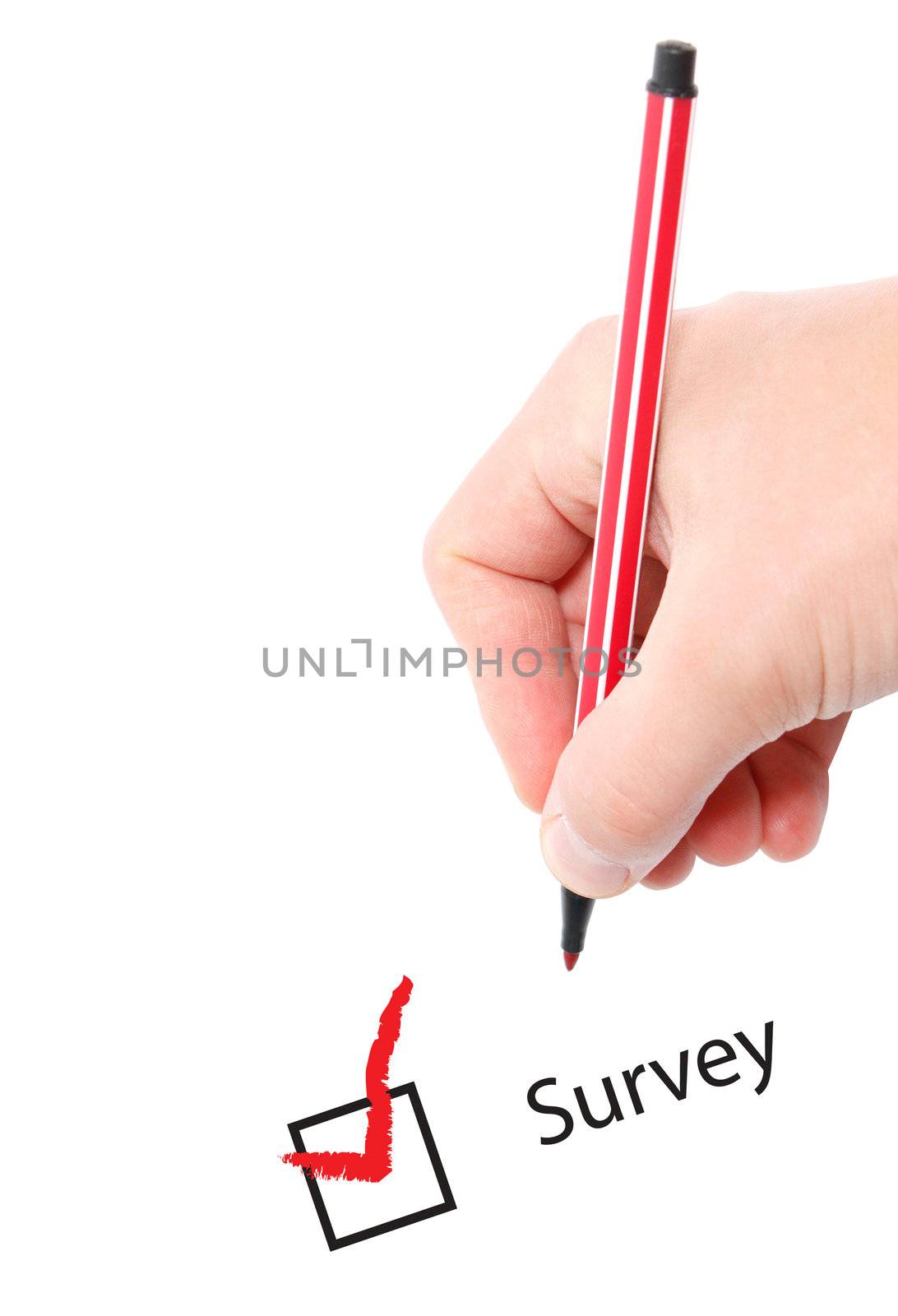 Survey by leeser