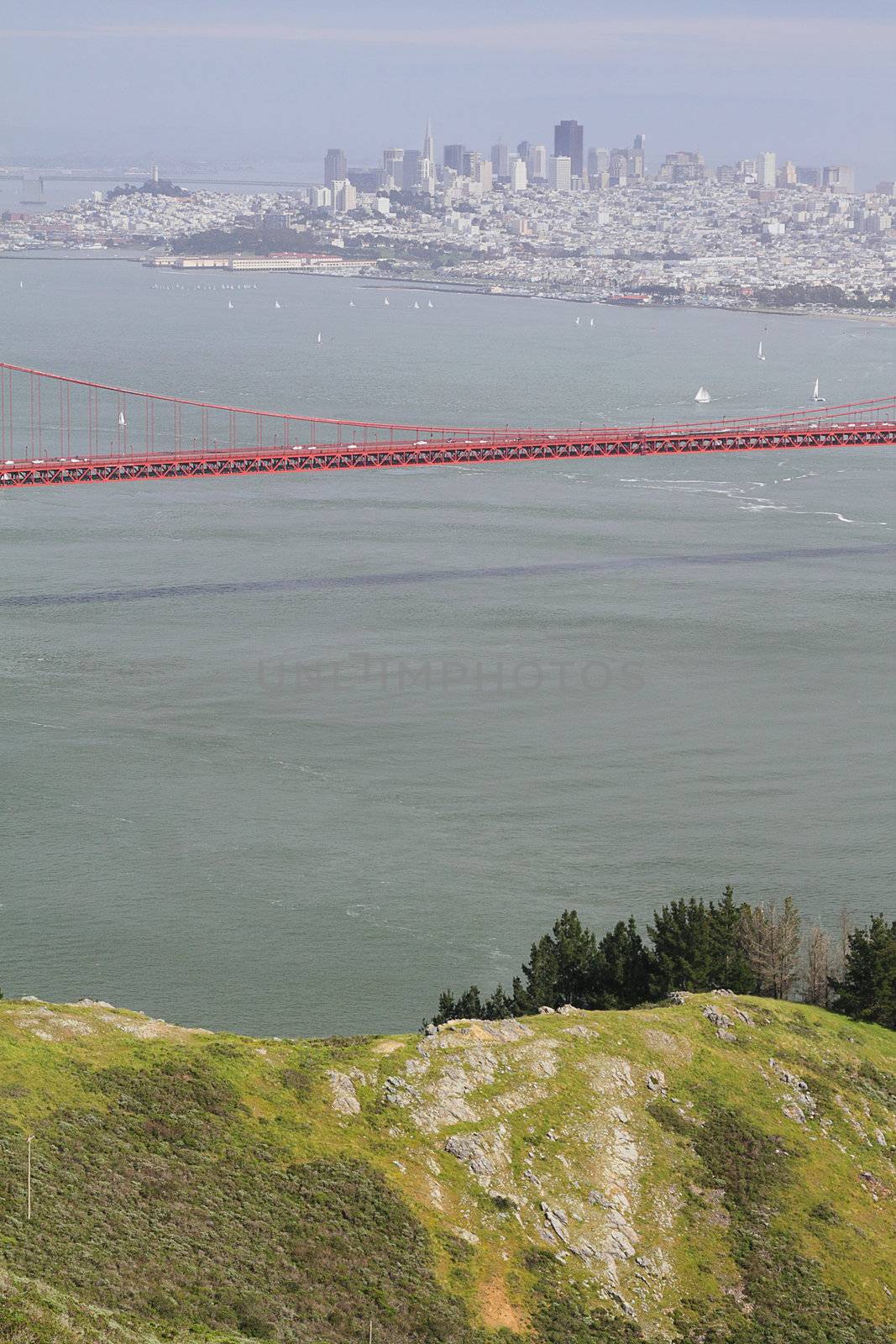 Golden Gate Bridge, San Francisco, with a hill on foreground