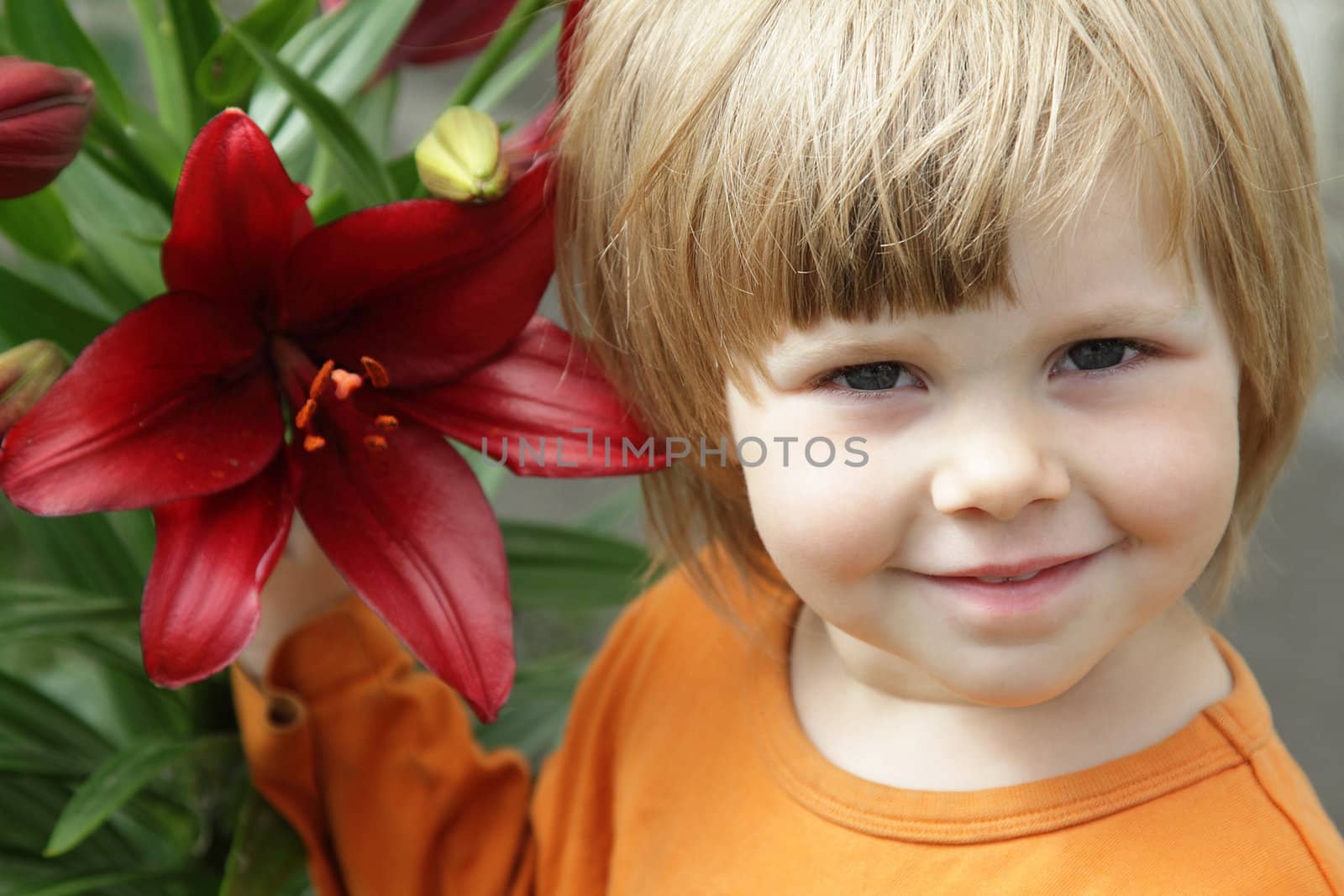 Little girl with a red lily in the garden