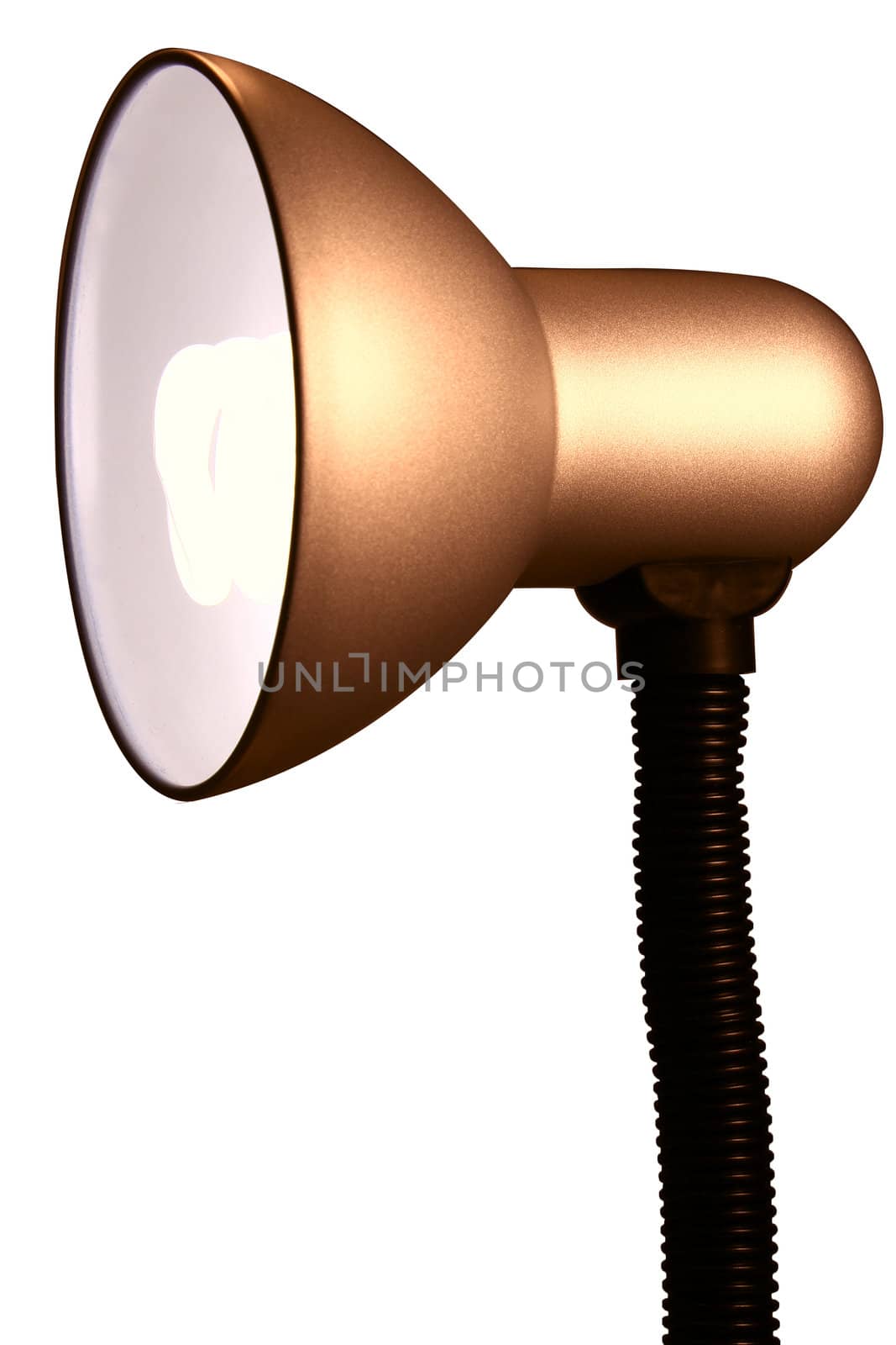 a table lamp on the white background