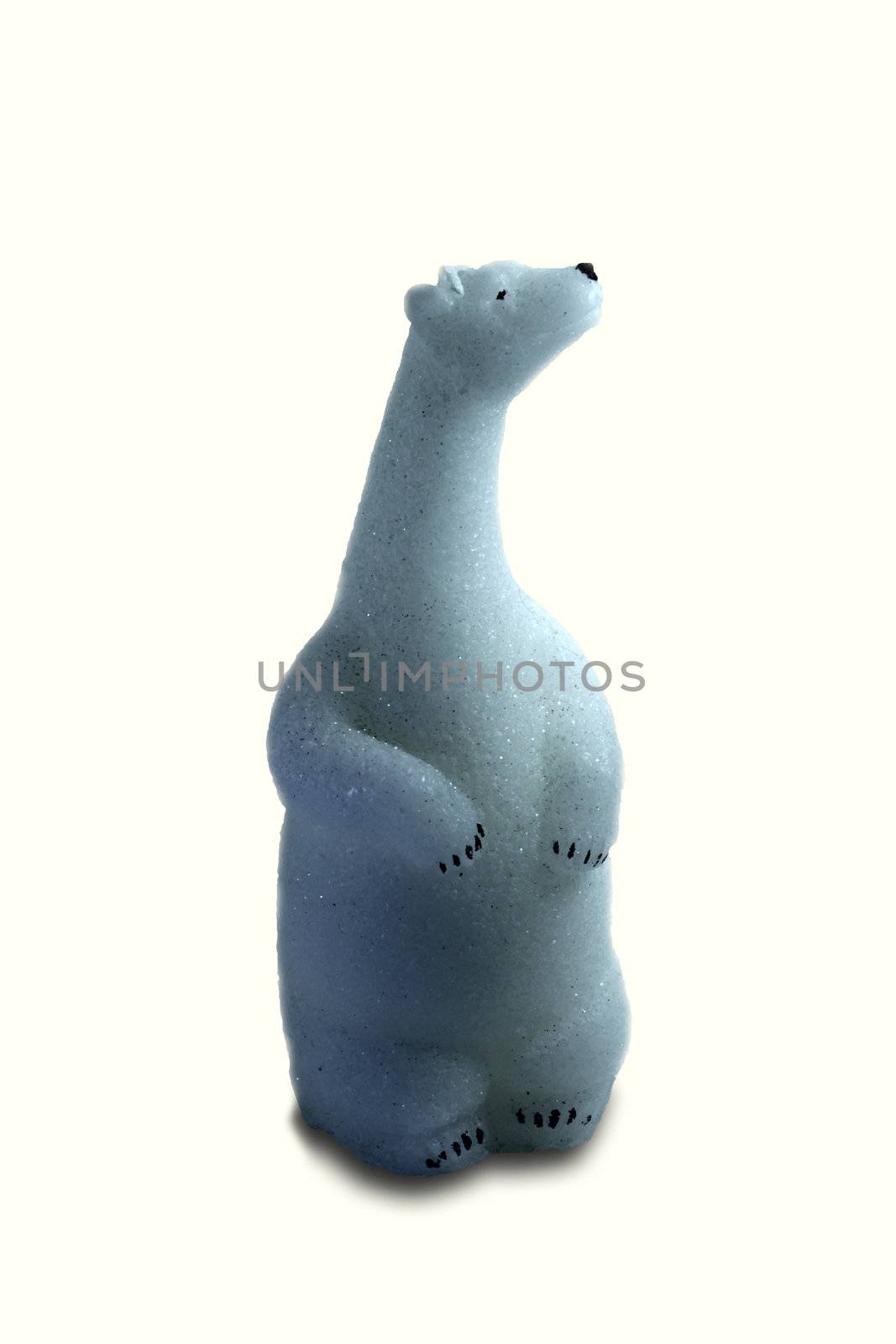 A polar bear on the white background