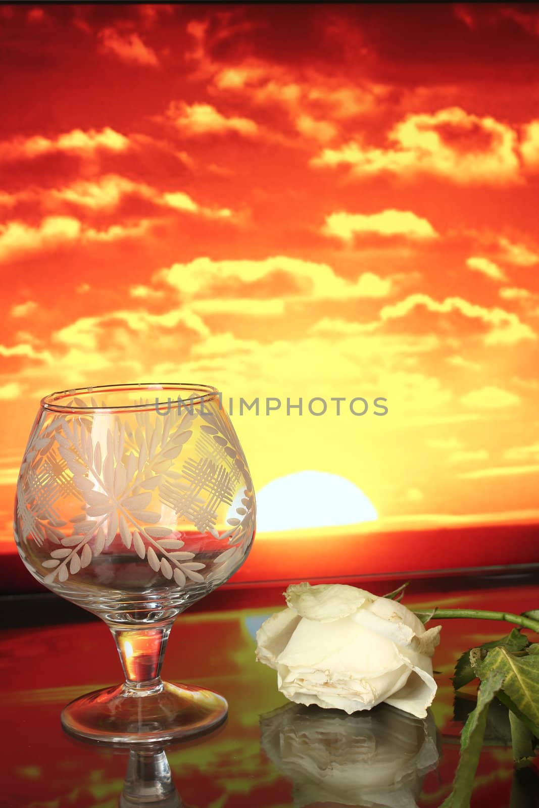 a goblet and the flower on the sunset background