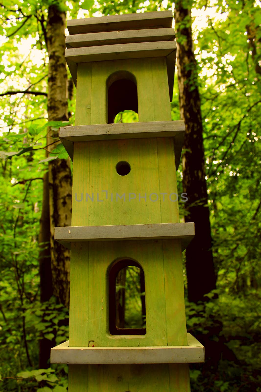 a birdhouse in the green forest