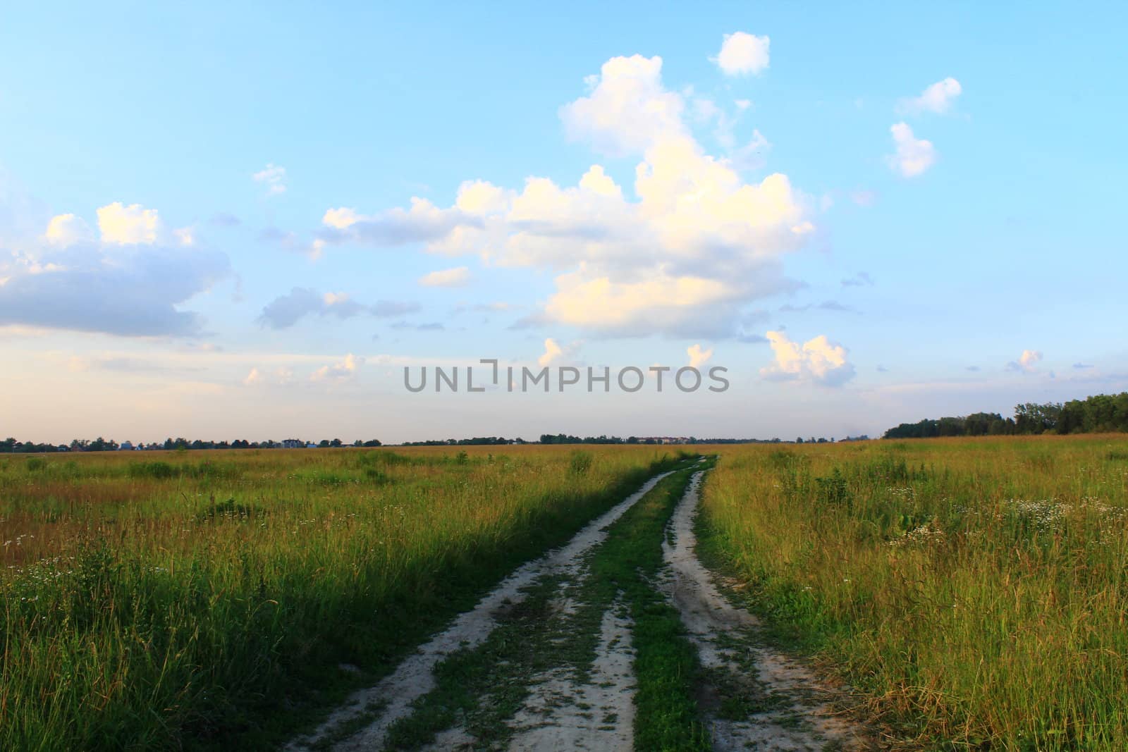a road leads to the horizon in the field