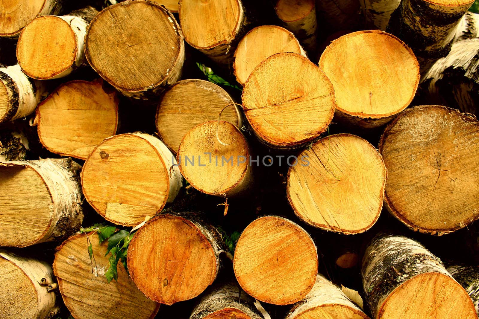 firewood by Teosar