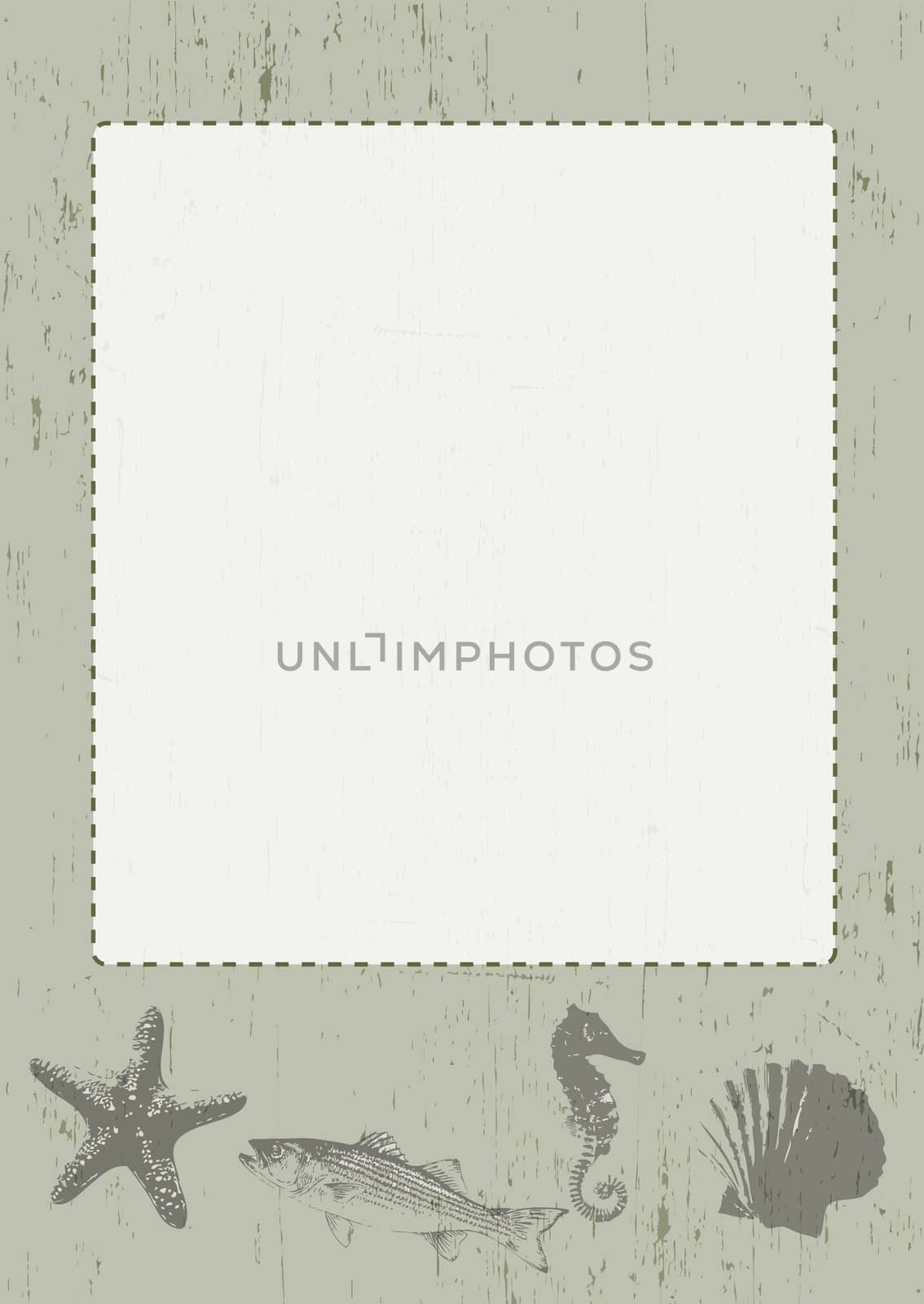 A portrait poster or frame with sea creature based illustrations under a blank picture space. Space to add images or text. All set on a grunge style background.