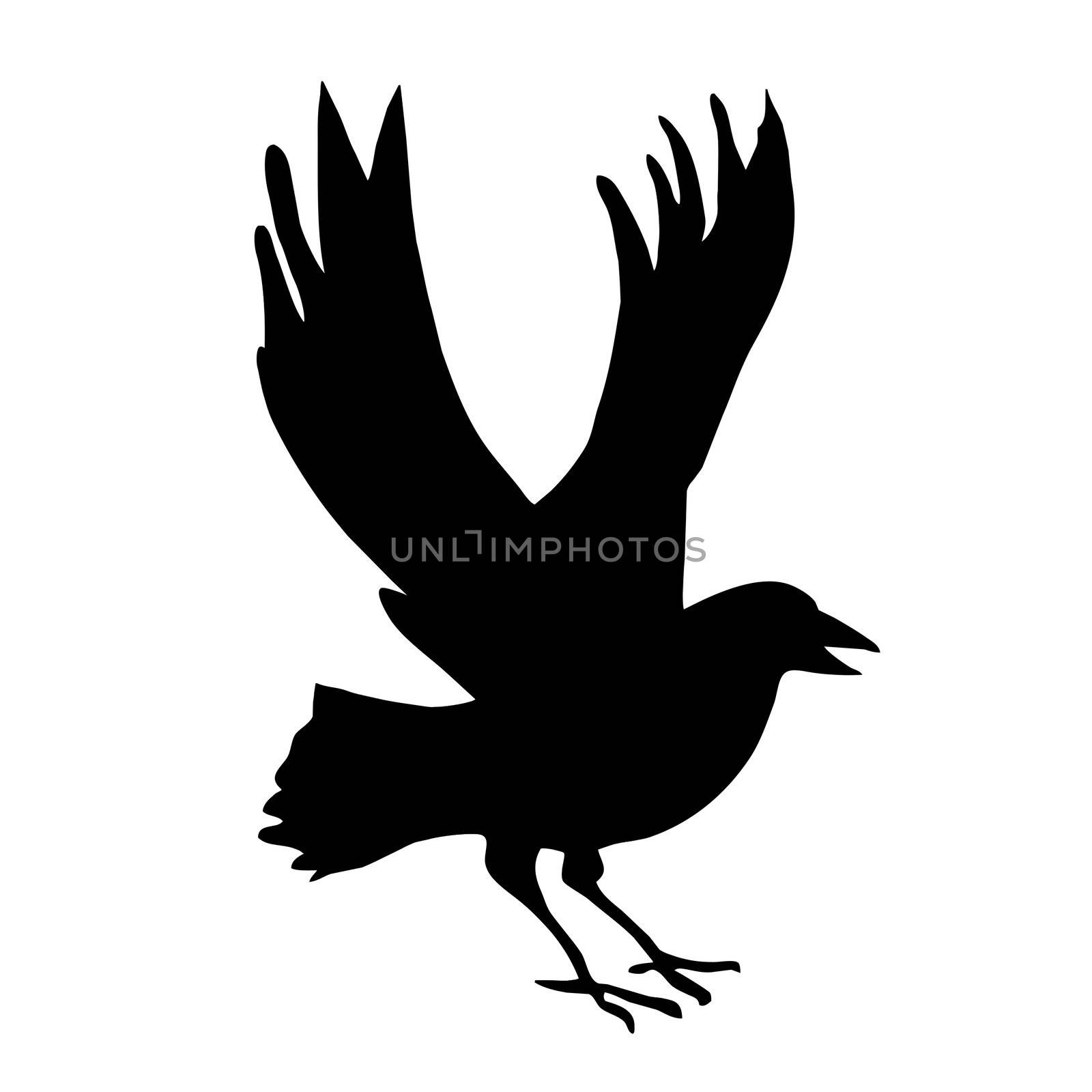 vector silhouette ravens on white background by basel101658