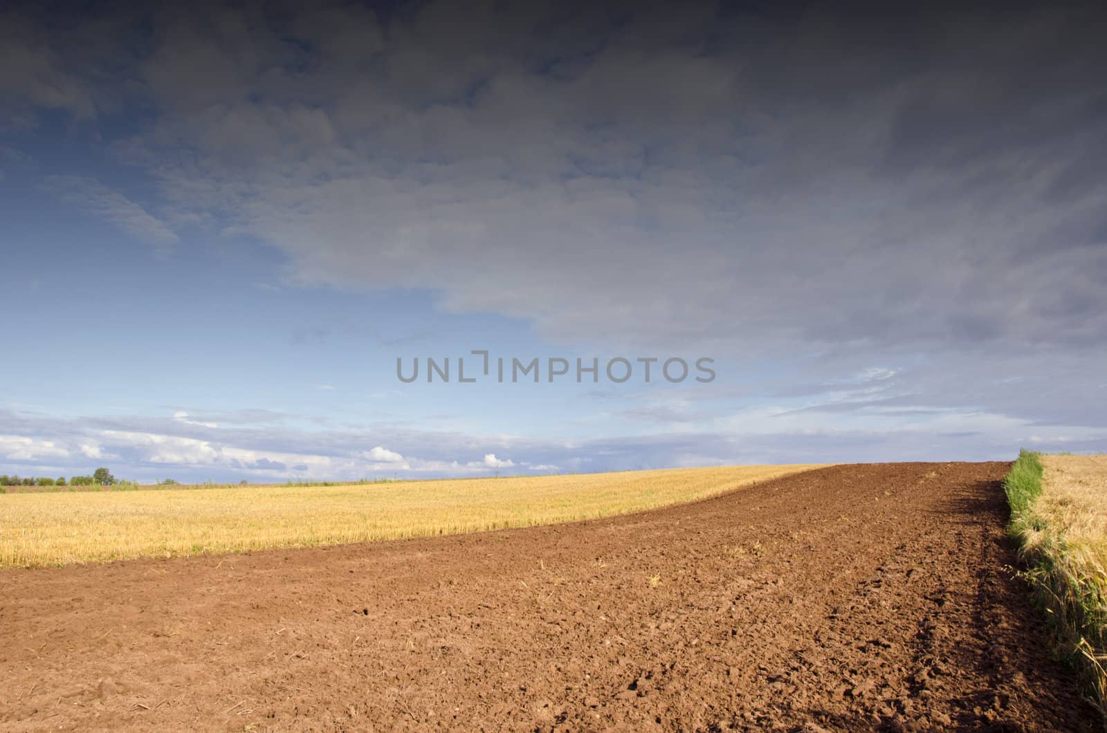 Agricultural view - plowed field. harvested. Wonderful view of sky with clouds.