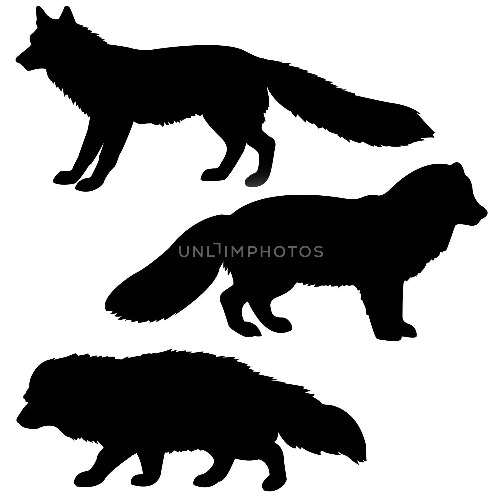vector silhouette polar fox, badger, vixens isolated on white b by basel101658